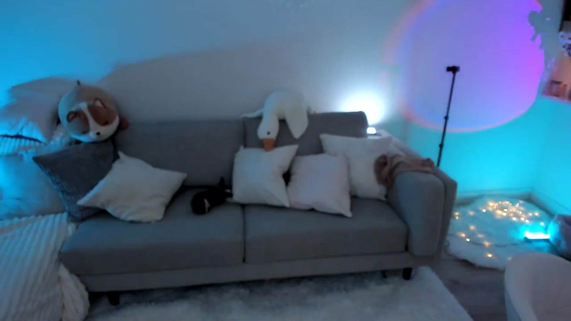 Gallery image thumbnail from Just_Vi's myfreecams stream on, 02/07/2026, 09:11 image 16 of 20