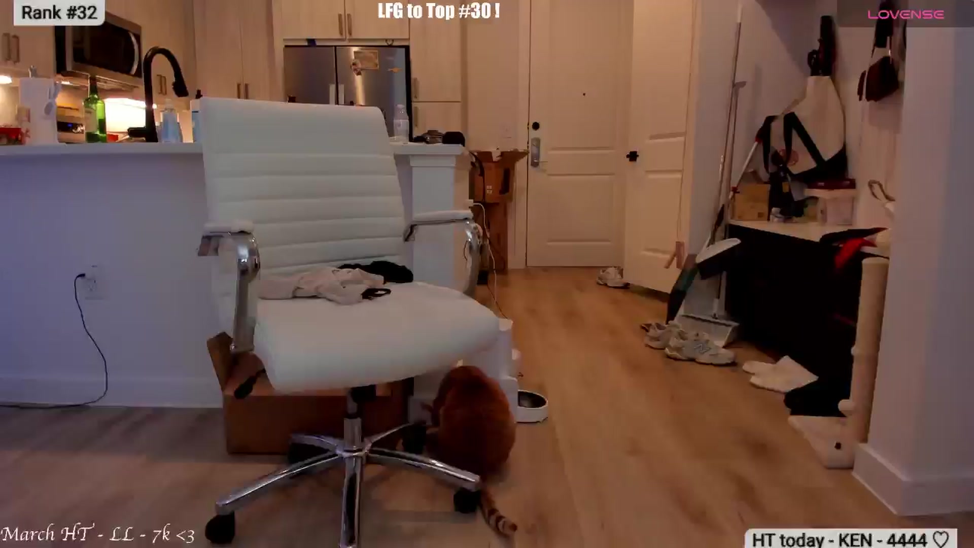 Gallery image thumbnail from Just_Vi's myfreecams stream on, 03/22/2026, 09:44 image 2 of 20