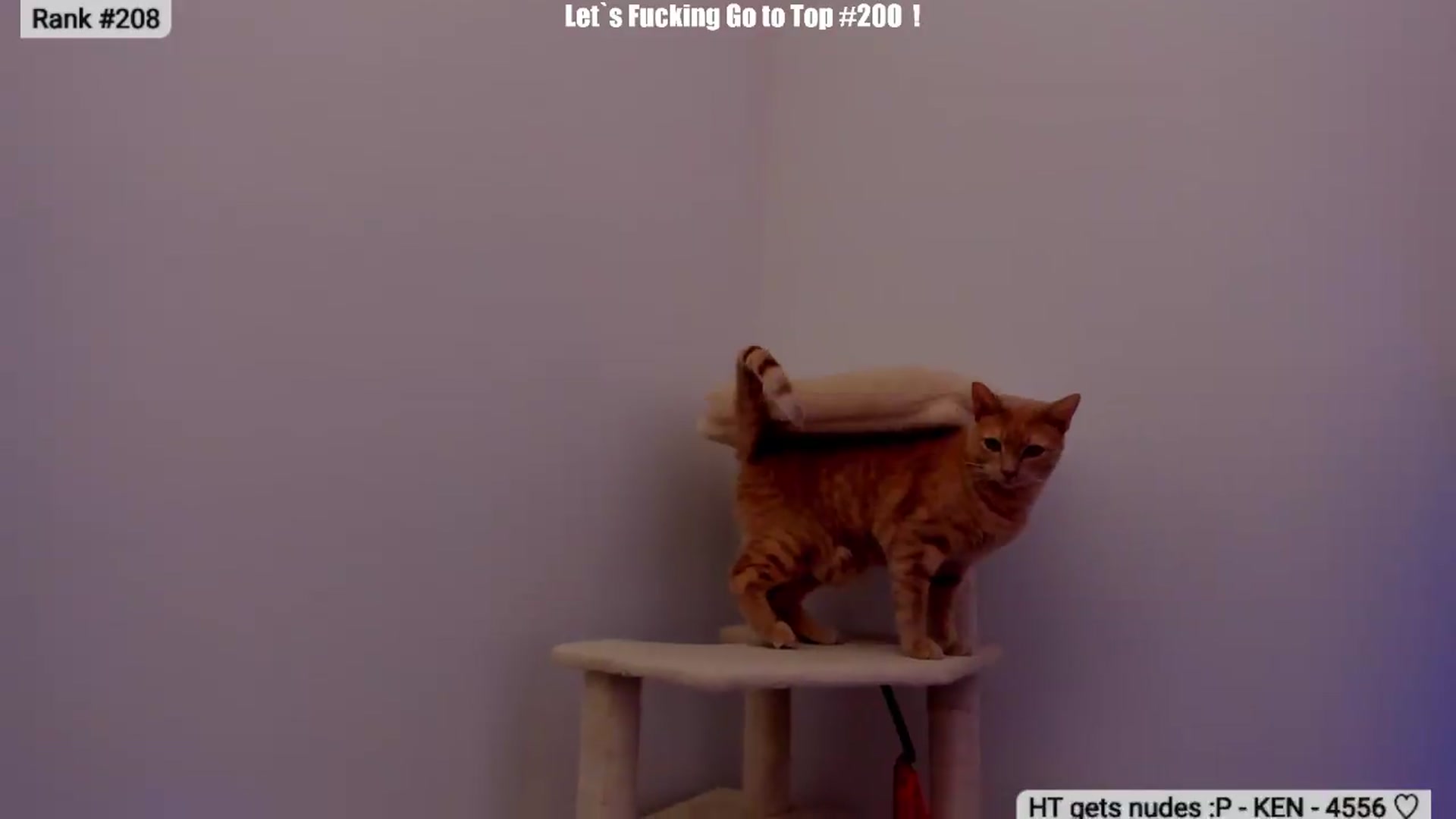 Gallery image thumbnail from Just_Vi's myfreecams stream on, 04/25/2026, 07:42 image 20 of 20