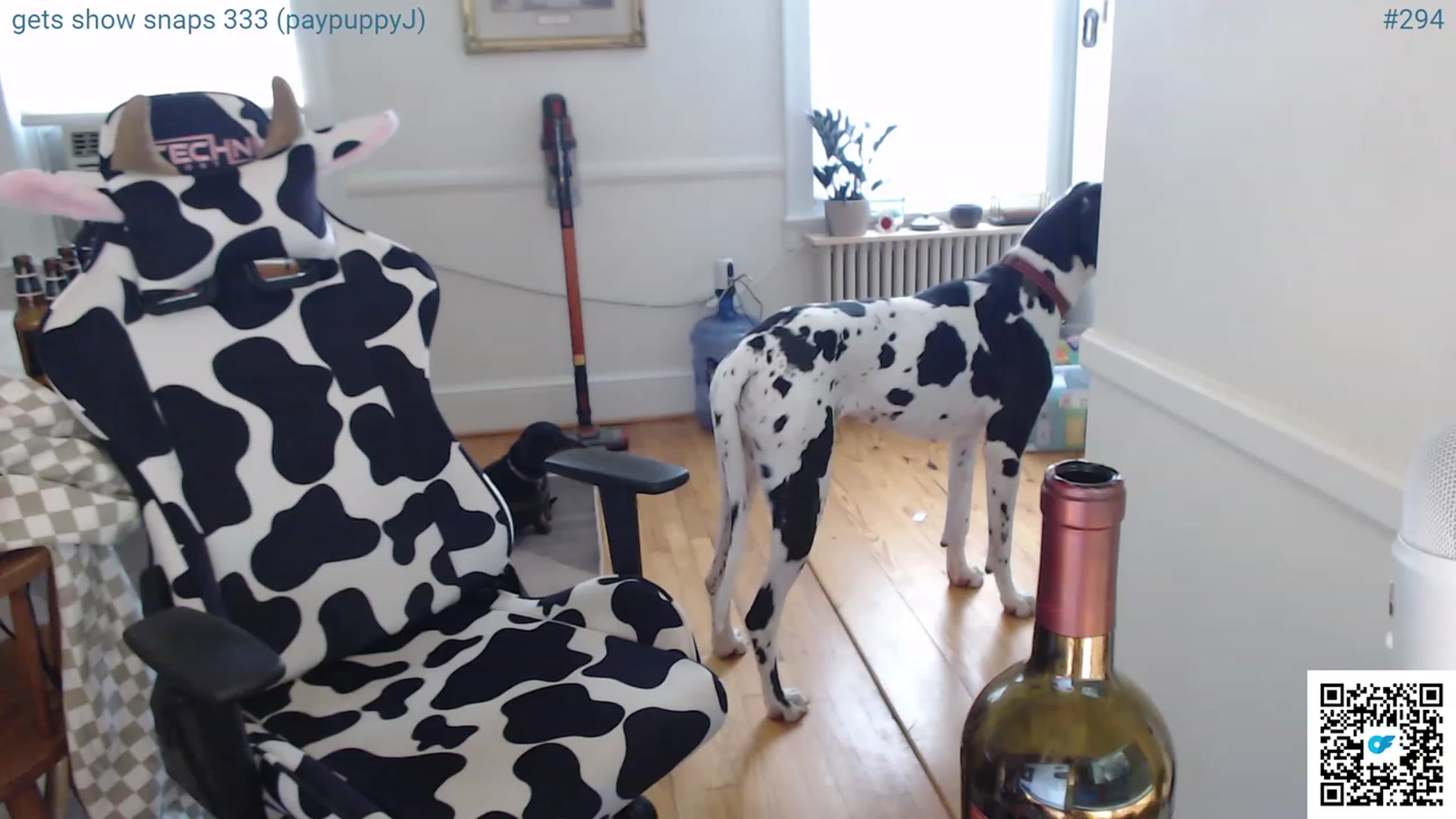 Gallery image thumbnail from Jwhiskewub_RC's myfreecams stream on, 06/10/2023, 23:08 image 20 of 20