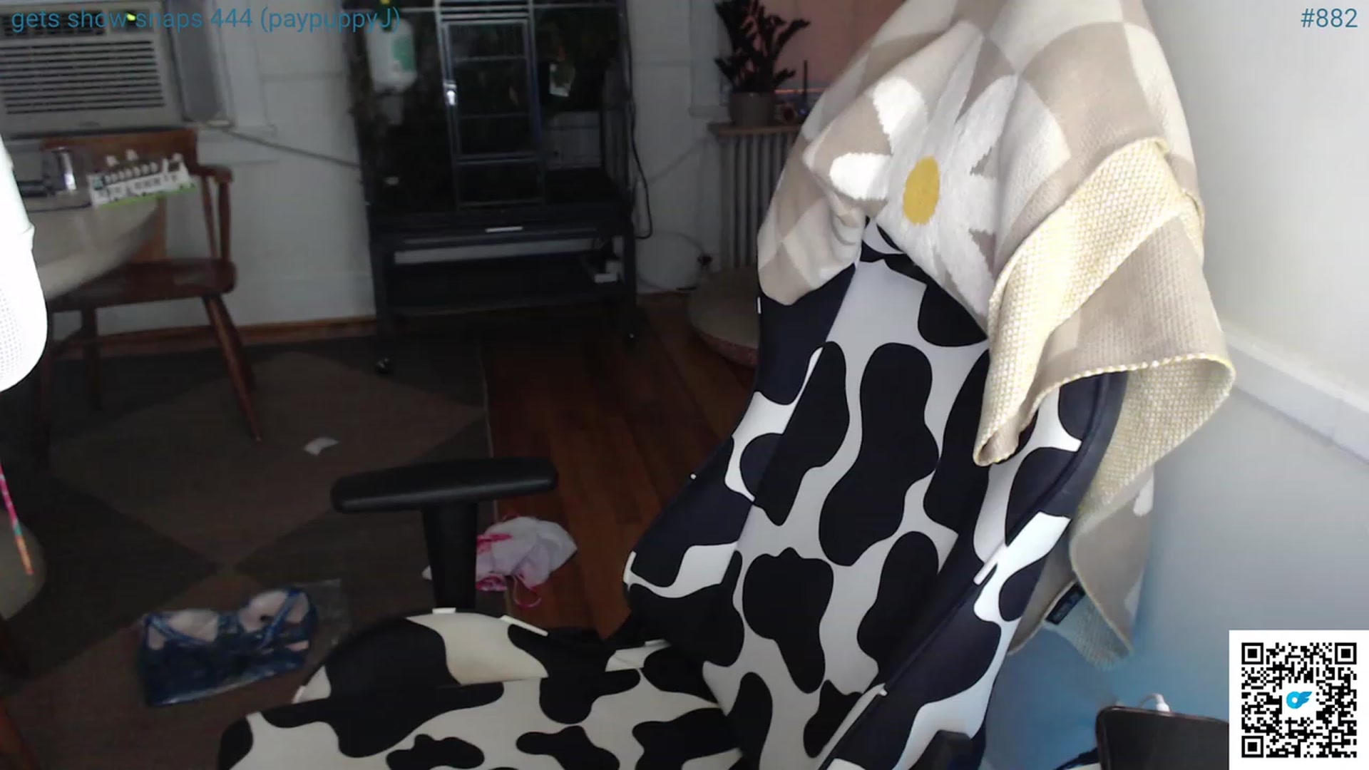 Gallery image thumbnail from Jwhiskewub_RC's myfreecams stream on, 07/02/2023, 01:27 image 11 of 20