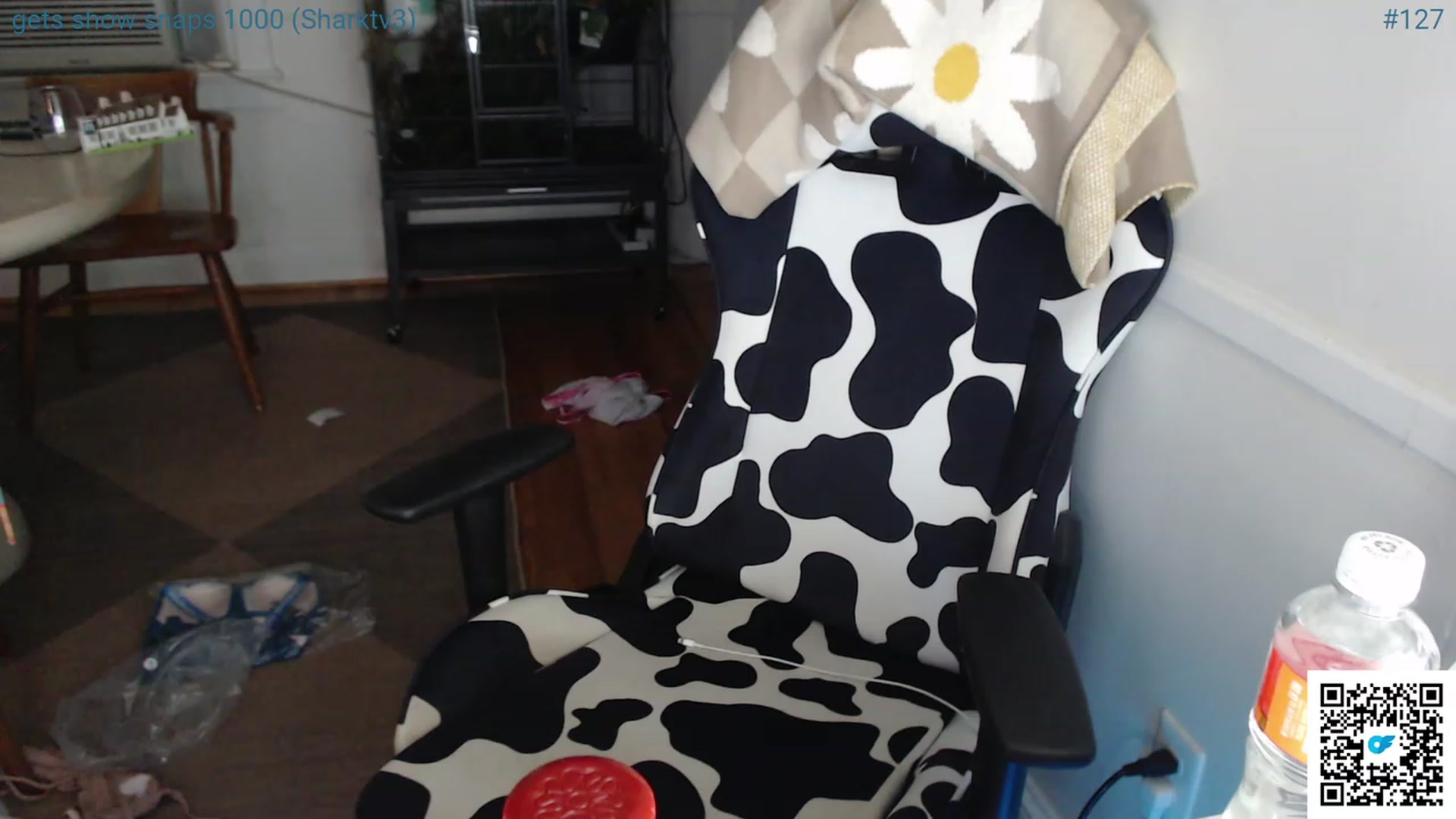 Gallery image thumbnail from Jwhiskewub_RC's myfreecams stream on, 07/02/2023, 07:14 image 11 of 20