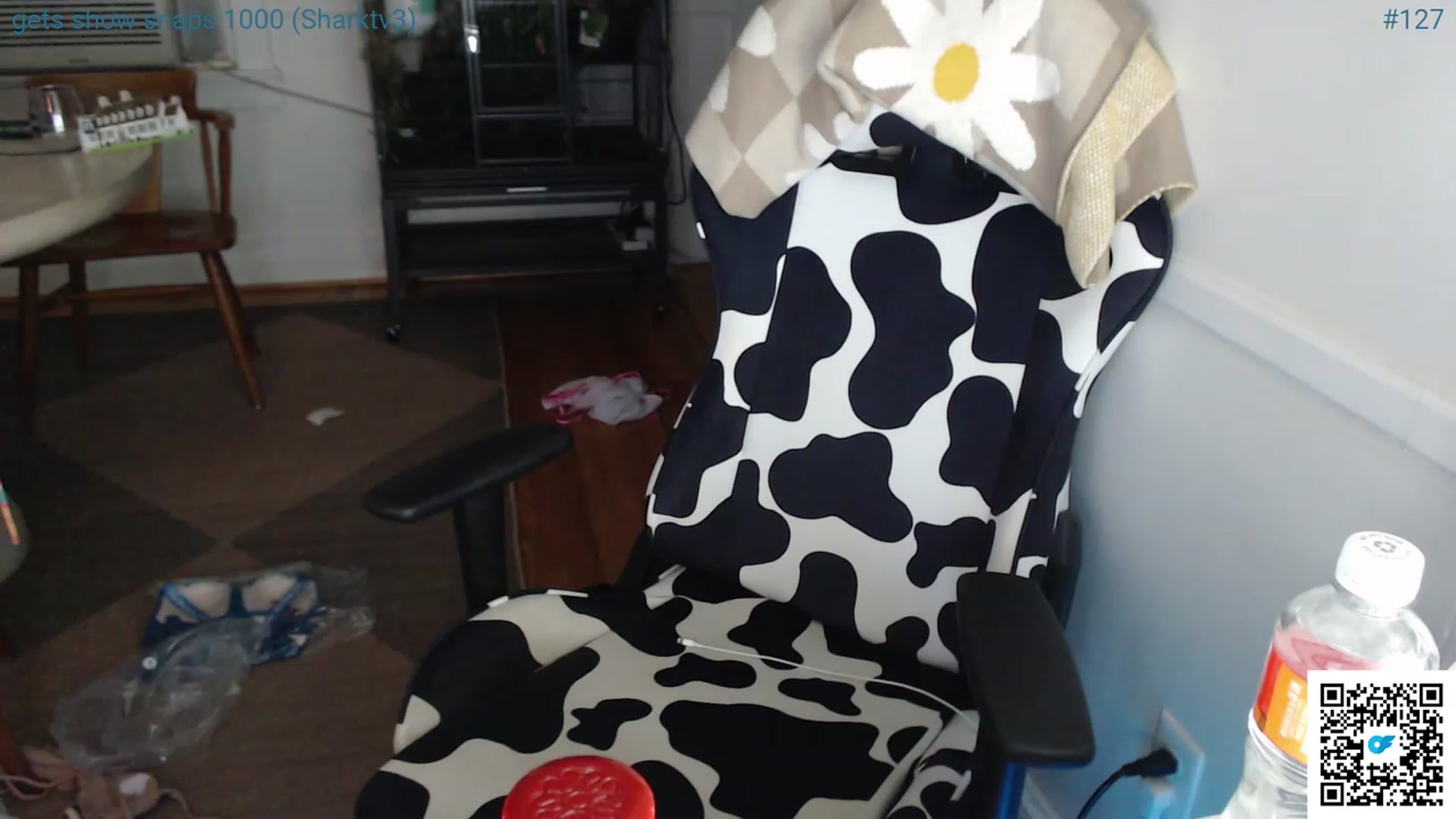 Gallery image thumbnail from Jwhiskewub_RC's myfreecams stream on, 07/02/2023, 07:14 image 10 of 20