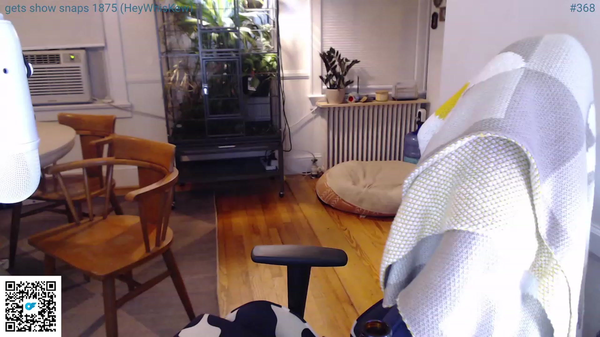 Gallery image thumbnail from Jwhiskewub_RC's myfreecams stream on, 07/08/2023, 09:49 image 4 of 20