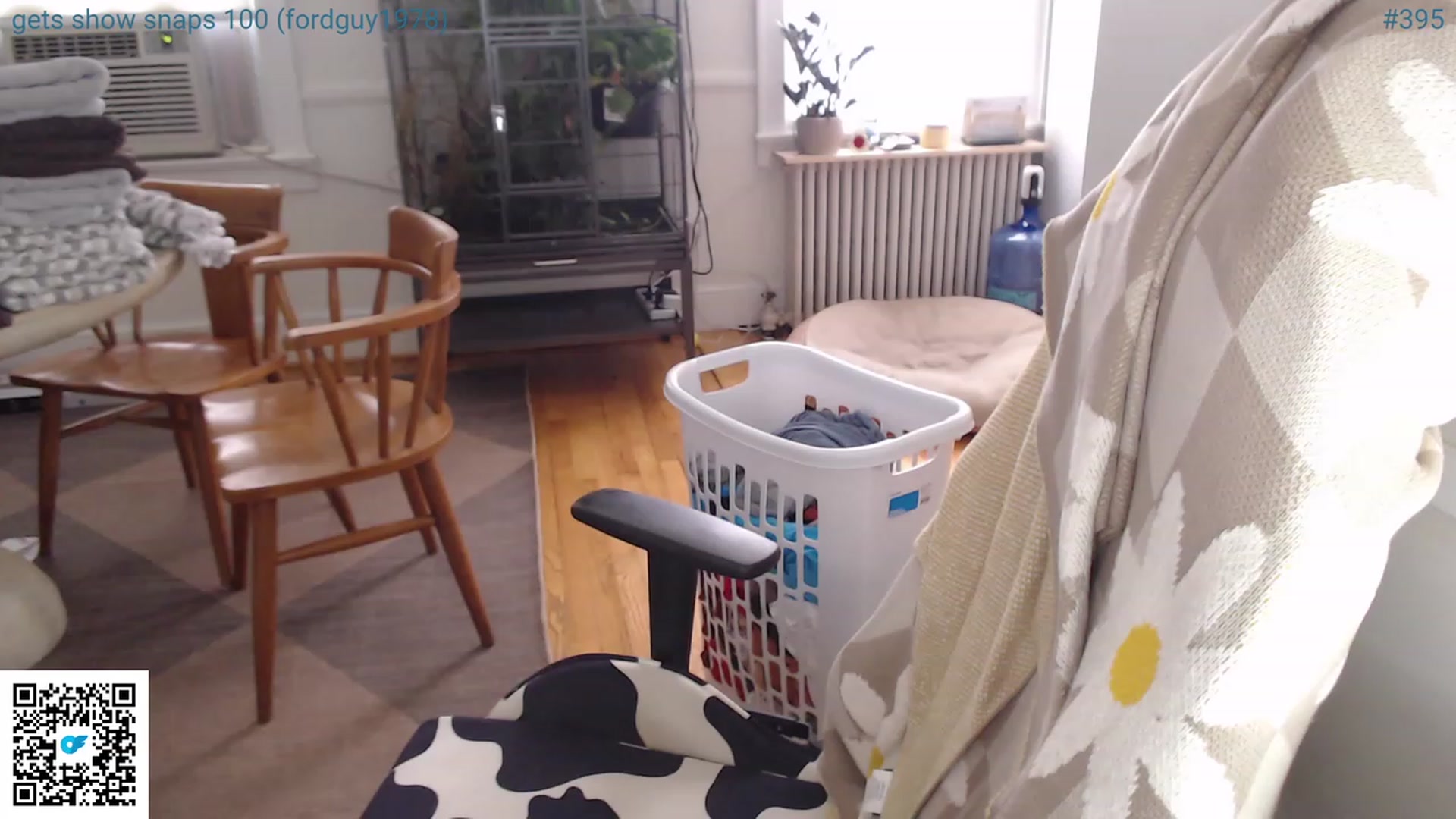 Gallery image thumbnail from Jwhiskewub_RC's myfreecams stream on, 07/09/2023, 22:47 image 7 of 20