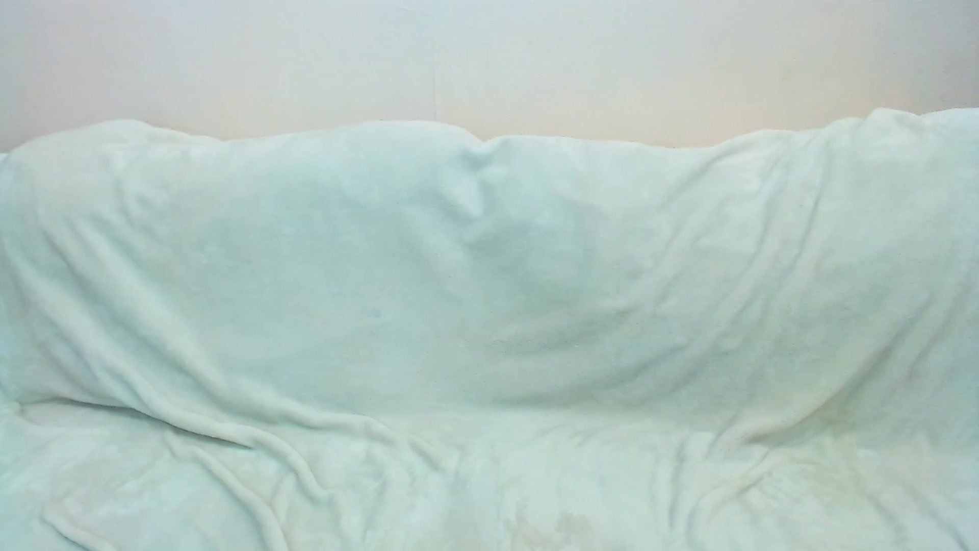 Gallery image thumbnail from JynFox's myfreecams stream on, 08/08/2023, 05:21 image 20 of 20