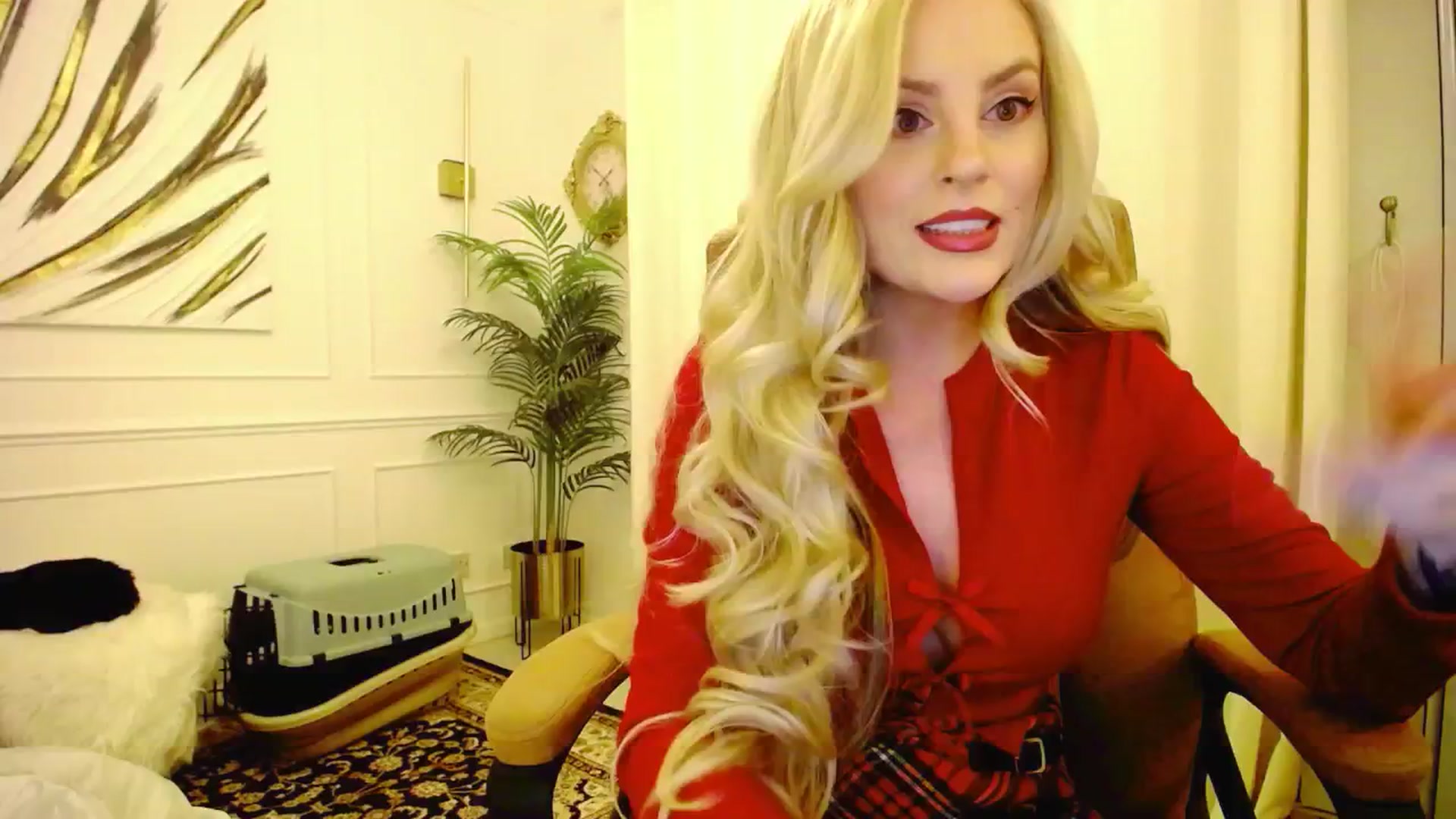 Gallery image thumbnail from K3lly's myfreecams stream on, 08/16/2025, 23:41 image 12 of 20