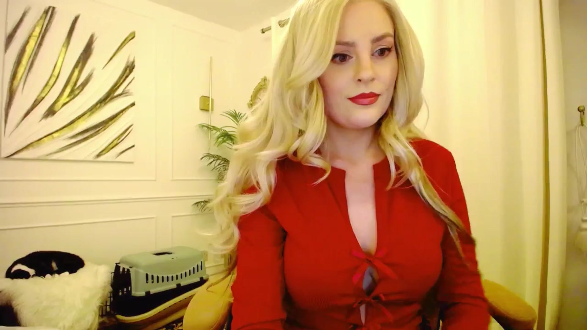 Gallery image thumbnail from K3lly's myfreecams stream on, 08/16/2025, 23:41 image 20 of 20