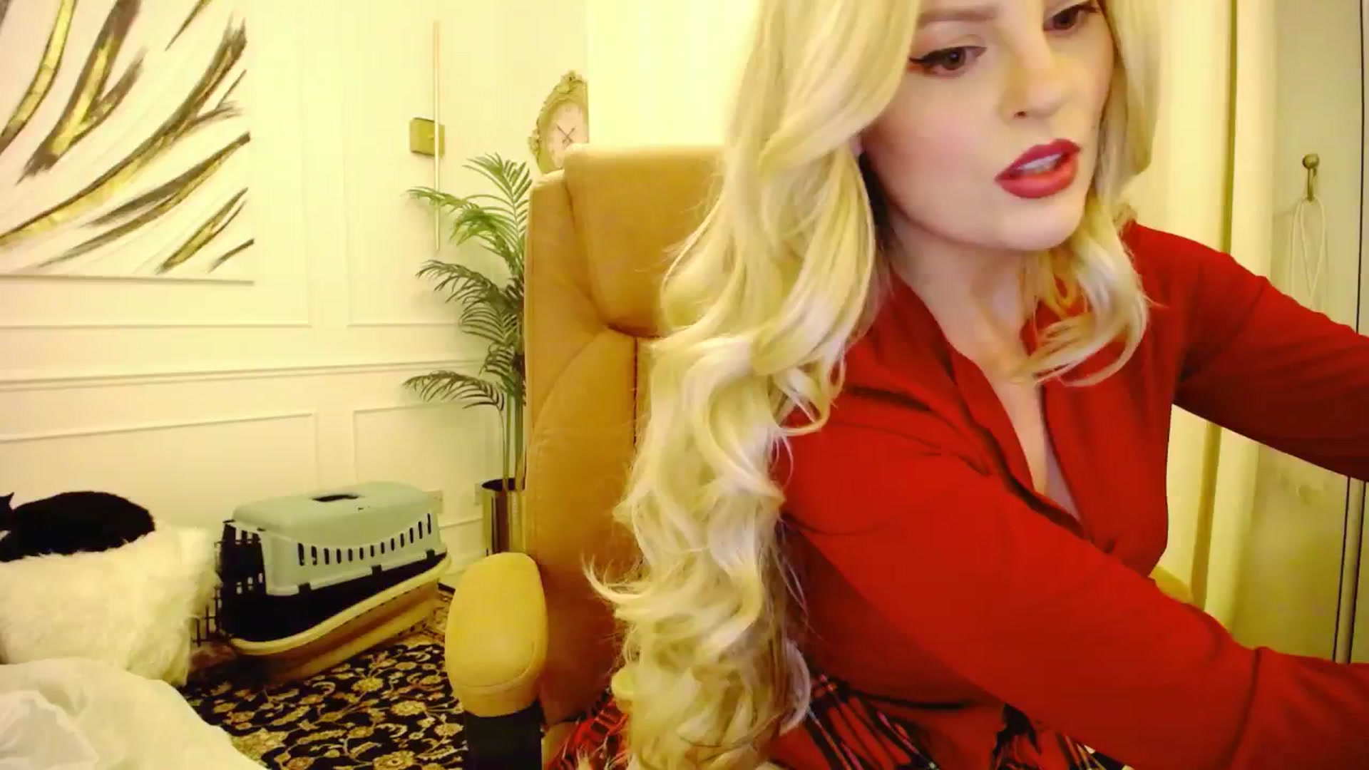 Gallery image thumbnail from K3lly's myfreecams stream on, 08/16/2025, 23:41 image 3 of 20