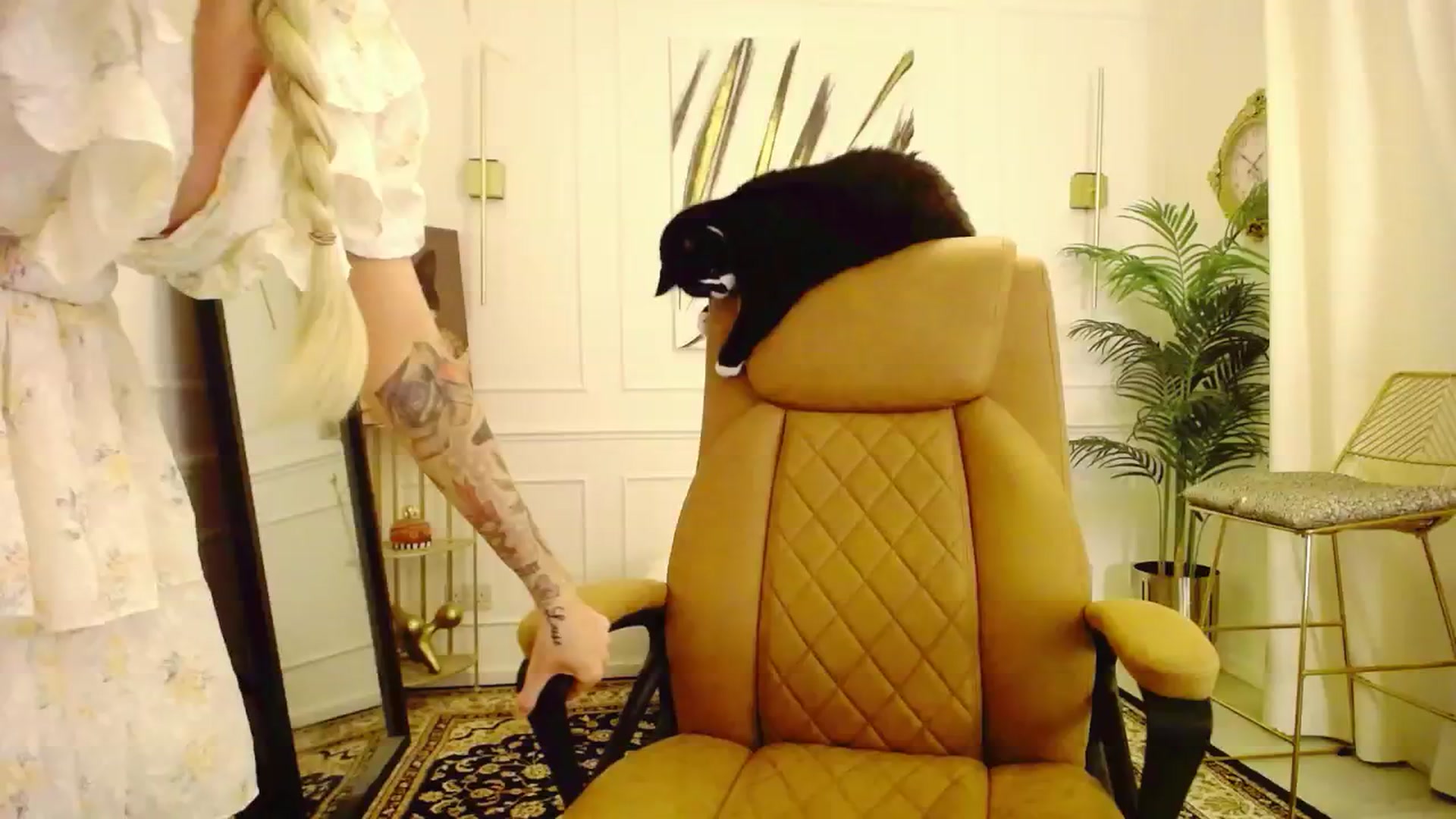 Gallery image thumbnail from K3lly's myfreecams stream on, 08/18/2025, 20:39 image 19 of 20