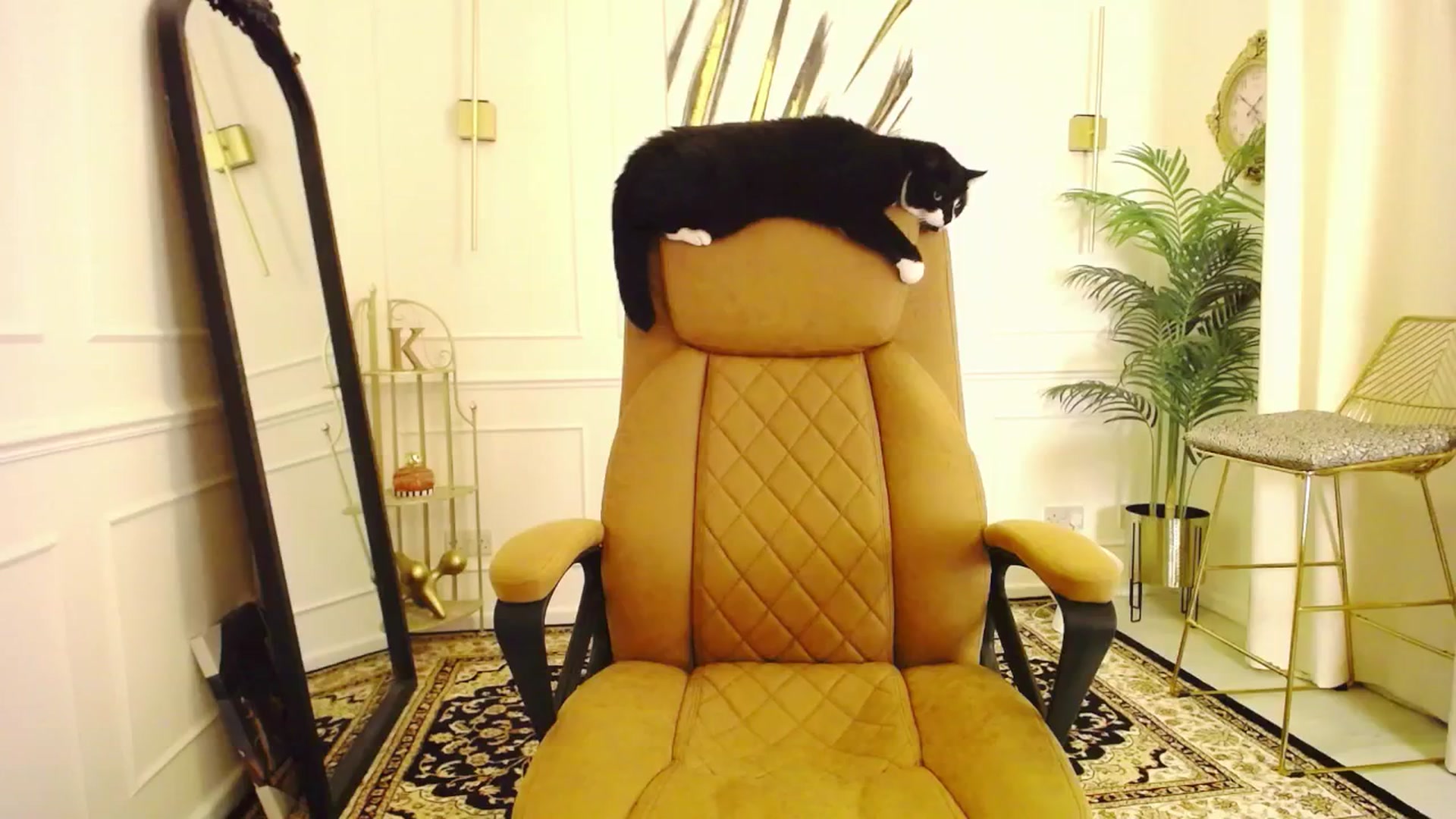 Gallery image thumbnail from K3lly's myfreecams stream on, 09/20/2025, 21:50 image 7 of 20