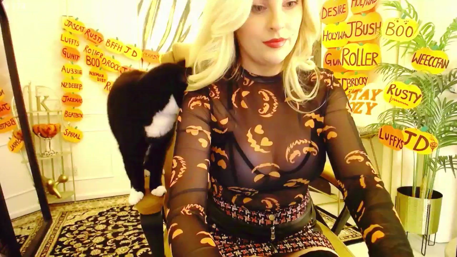 Gallery image thumbnail from K3lly's myfreecams stream on, 10/16/2025, 24:05 image 4 of 20