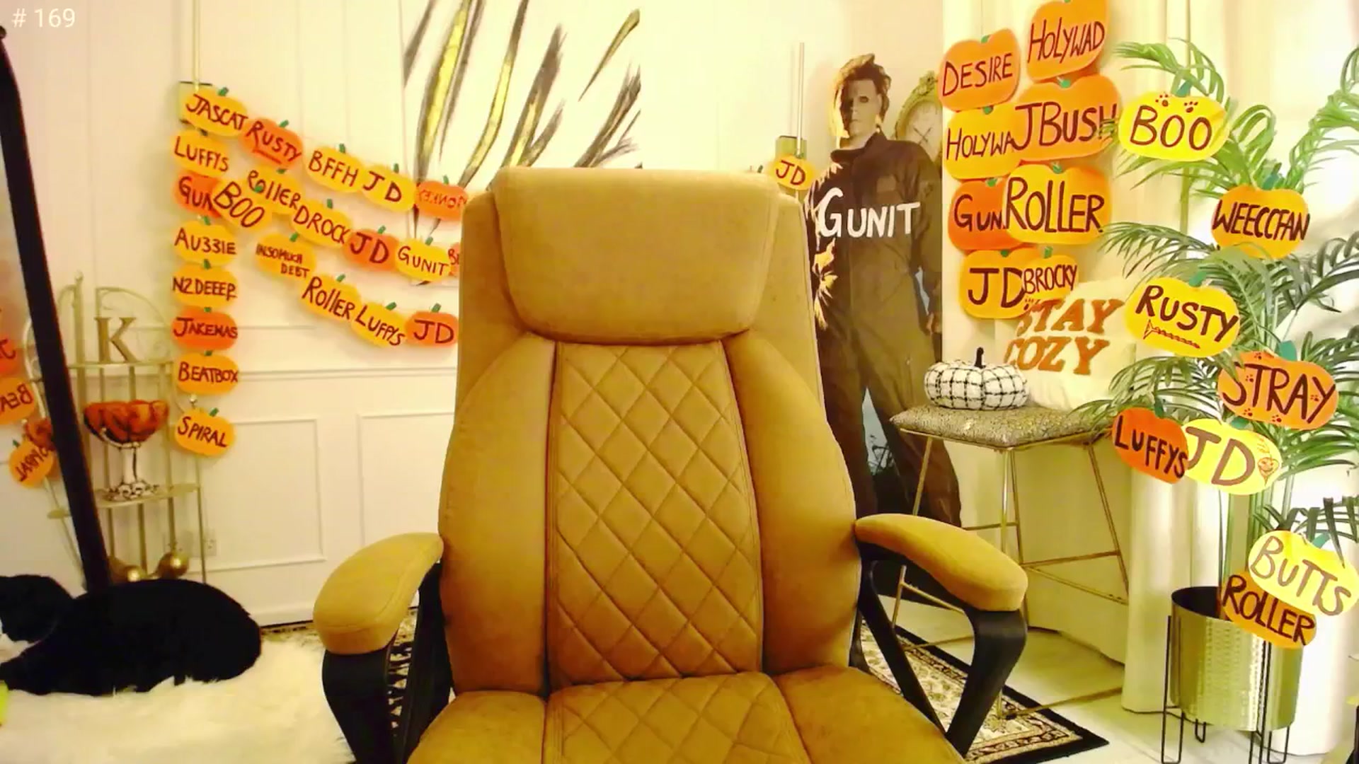 Gallery image thumbnail from K3lly's myfreecams stream on, 10/17/2025, 24:35 image 5 of 20