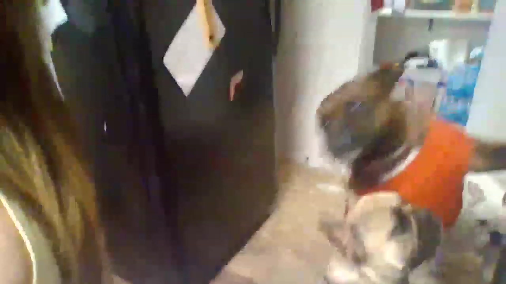 Gallery image thumbnail from KENNEDYLOVE69's myfreecams stream on, 11/16/2022, 20:38 image 15 of 20