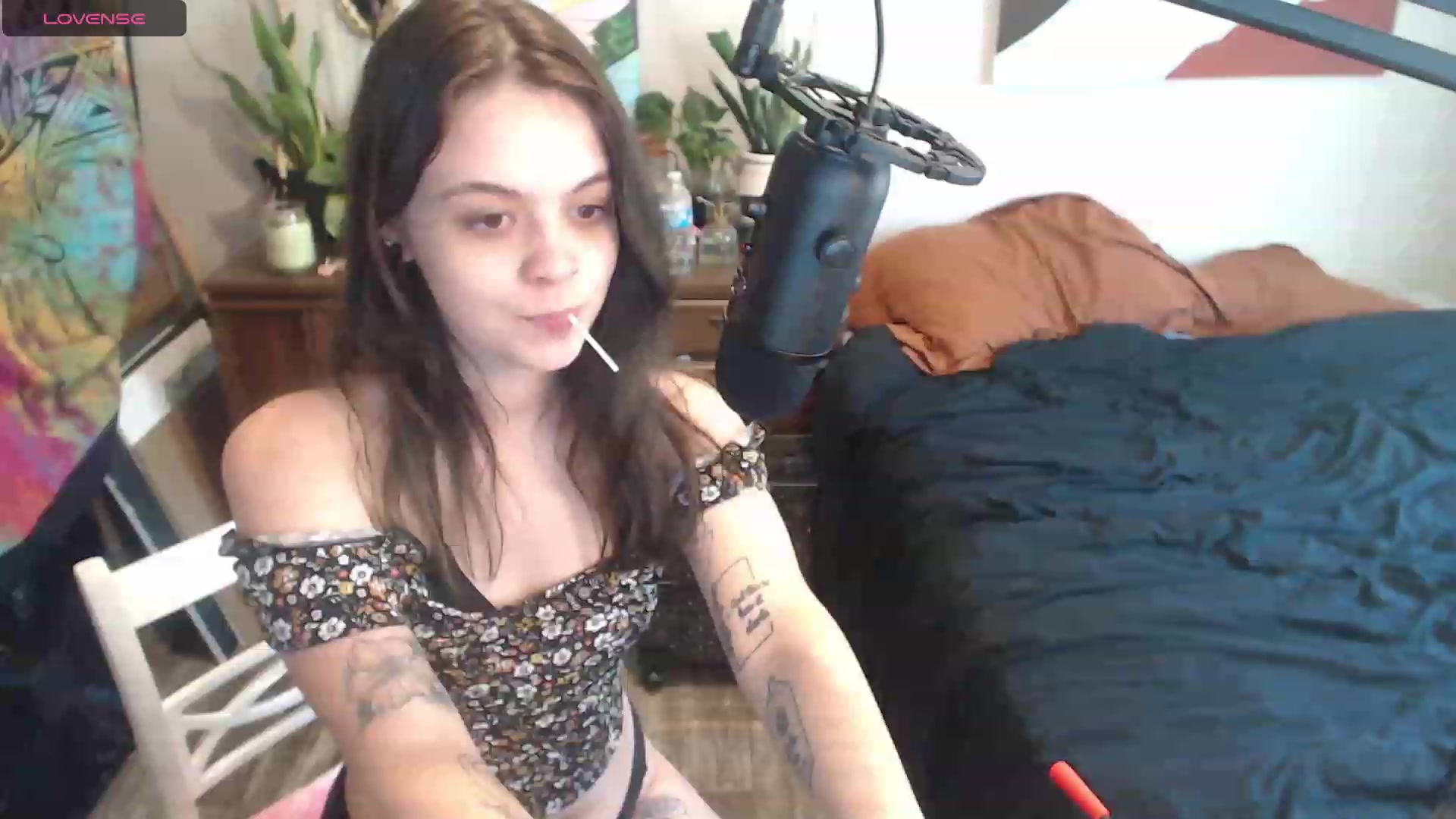 Gallery image thumbnail from KKayKitten's myfreecams stream on, 09/13/2023, 19:58 image 10 of 20
