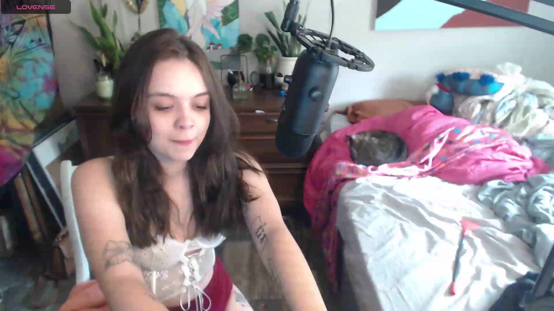 Gallery image thumbnail from KKayKitten's myfreecams stream on, 09/20/2023, 19:25 image 20 of 20