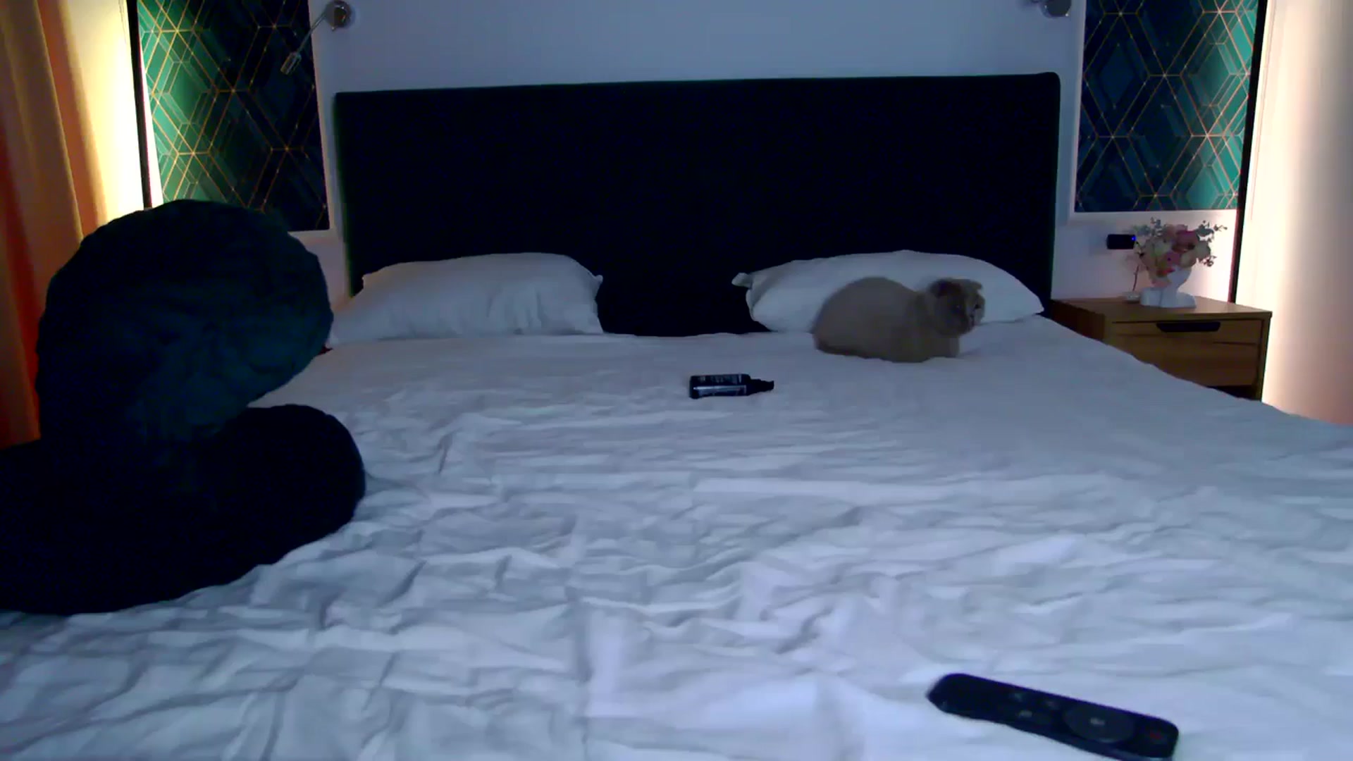Gallery image thumbnail from K_KalIySya_S's myfreecams stream on, 10/12/2023, 21:02 image 8 of 20