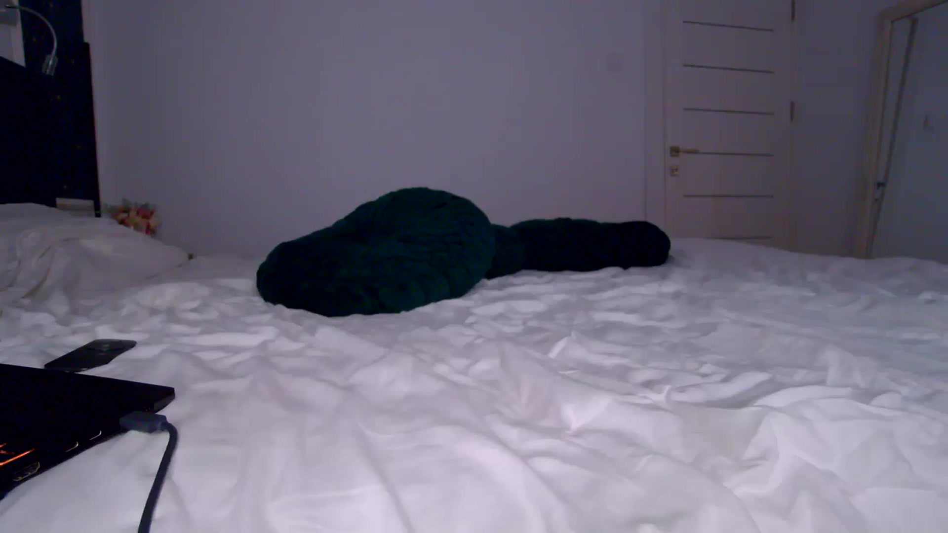 Gallery image thumbnail from K_KalIySya_S's myfreecams stream on, 10/25/2023, 11:45 image 12 of 20