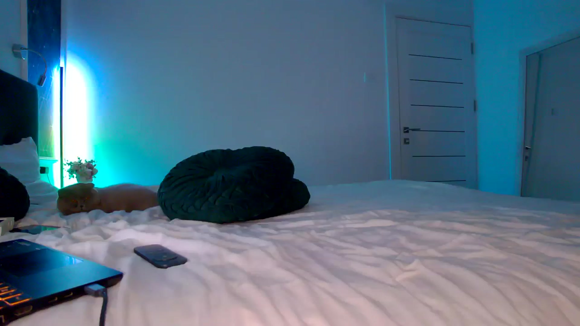 Gallery image thumbnail from K_KalIySya_S's myfreecams stream on, 10/25/2023, 19:13 image 1 of 20