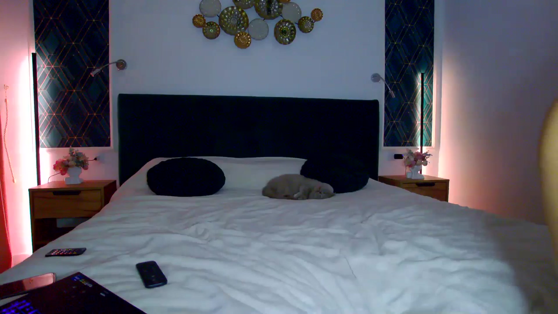 Gallery image thumbnail from K_KalIySya_S's myfreecams stream on, 11/28/2023, 20:05 image 14 of 20