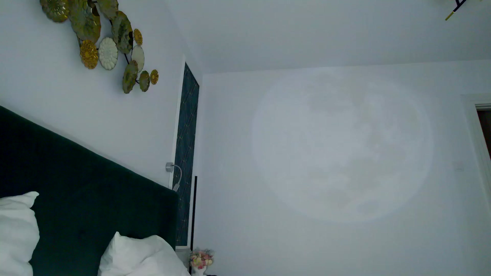 Gallery image thumbnail from K_KalIySya_S's myfreecams stream on, 12/08/2023, 18:47 image 17 of 20