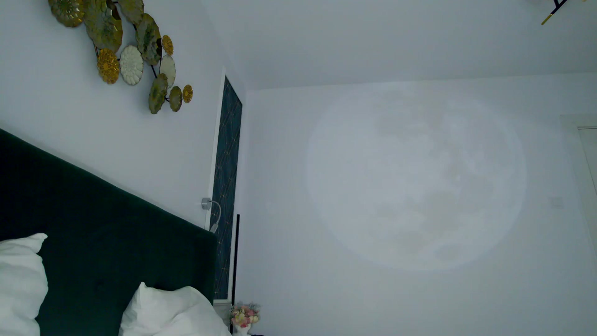 Gallery image thumbnail from K_KalIySya_S's myfreecams stream on, 12/08/2023, 18:47 image 18 of 20