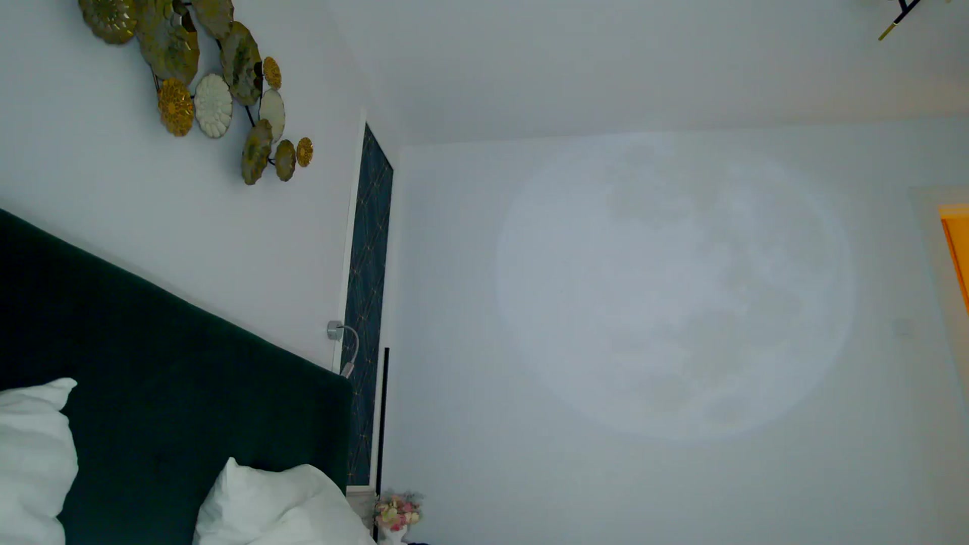 Gallery image thumbnail from K_KalIySya_S's myfreecams stream on, 12/08/2023, 18:47 image 16 of 20