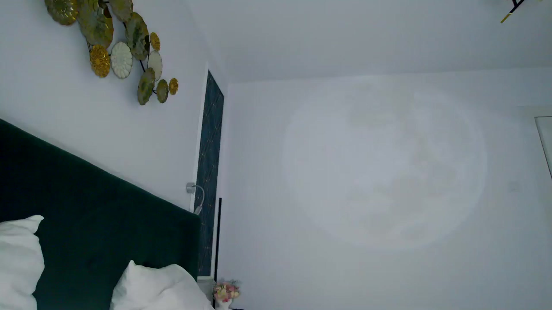 Gallery image thumbnail from K_KalIySya_S's myfreecams stream on, 12/08/2023, 18:47 image 15 of 20