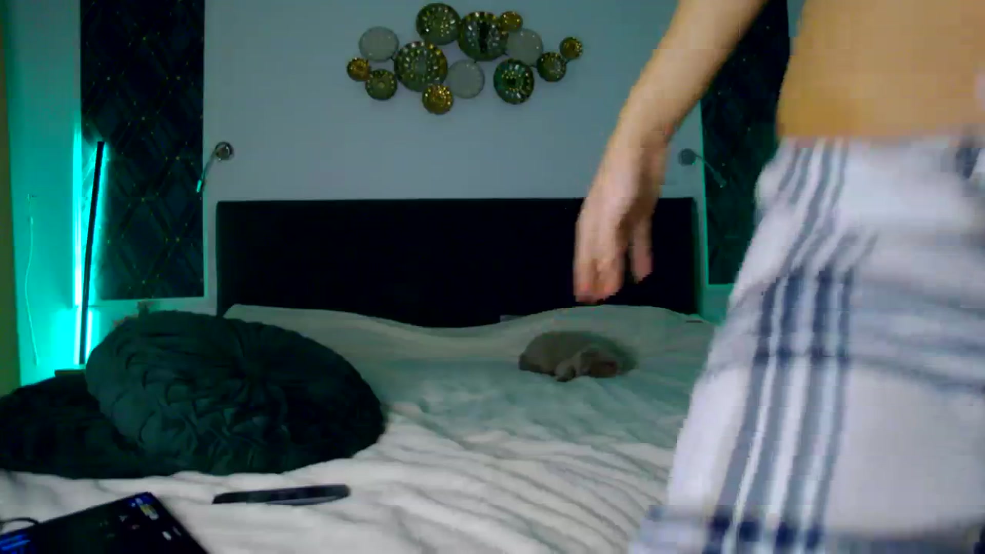 Gallery image thumbnail from K_KalIySya_S's myfreecams stream on, 12/20/2023, 16:07 image 20 of 20