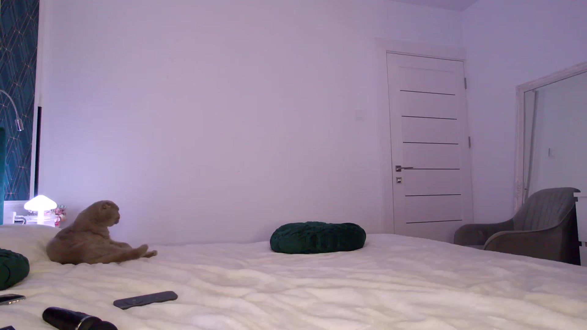 Gallery image thumbnail from K_KalIySya_S's myfreecams stream on, 01/16/2024, 21:20 image 13 of 20