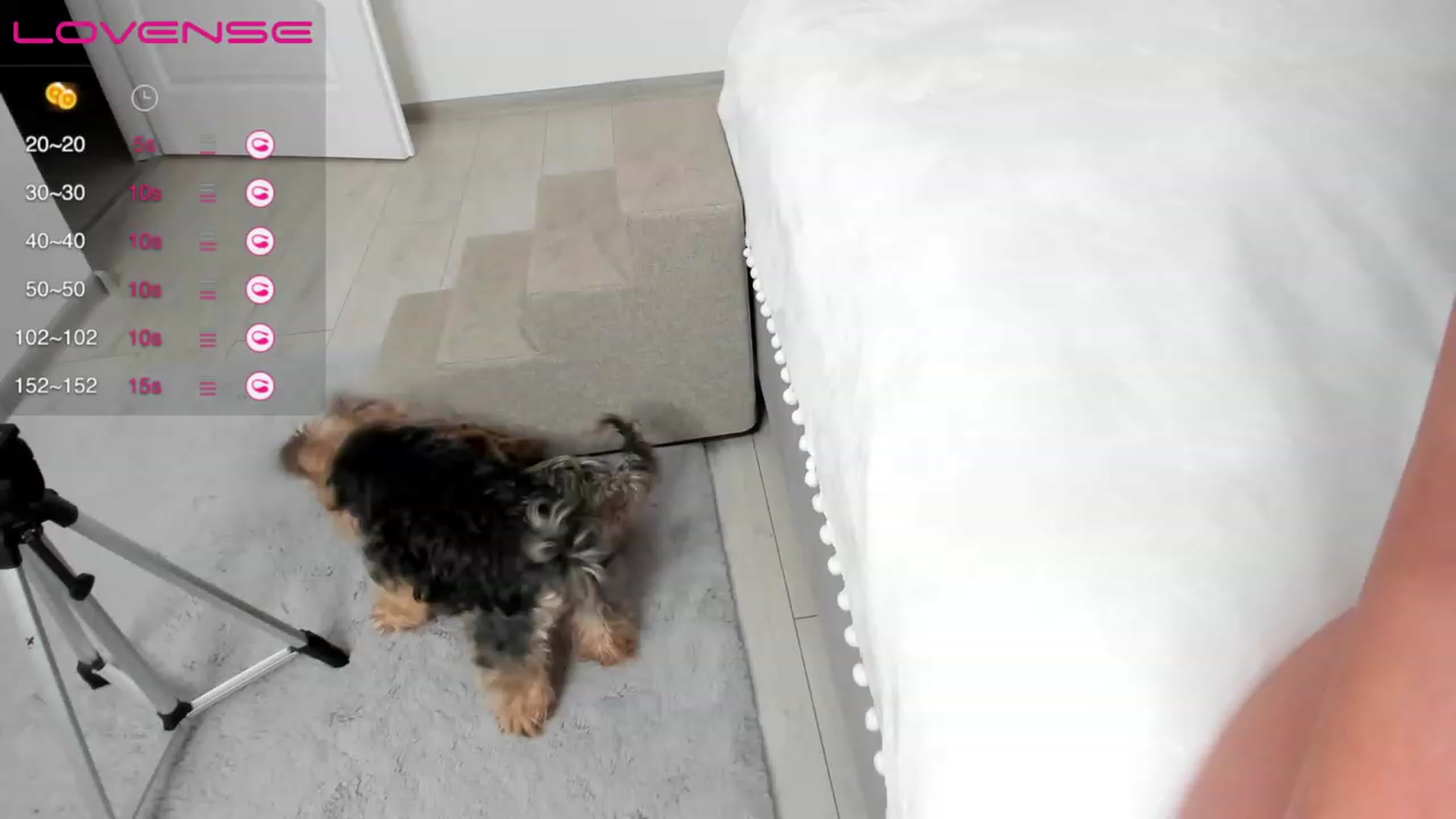 Gallery image thumbnail from K__A__T's myfreecams stream on, 04/16/2023, 21:51 image 10 of 20