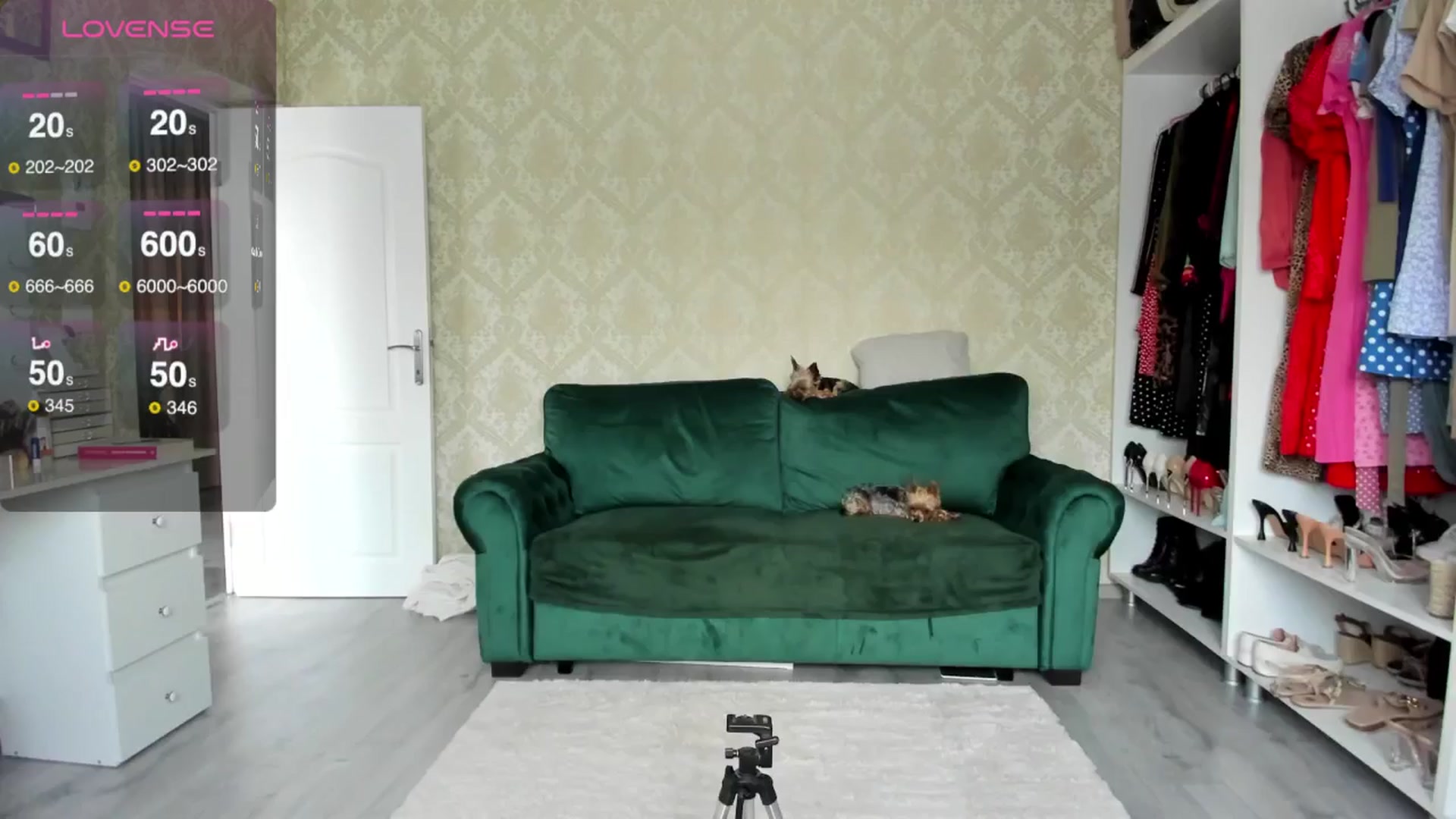 Gallery image thumbnail from K__A__T's myfreecams stream on, 07/10/2024, 10:23 image 1 of 20