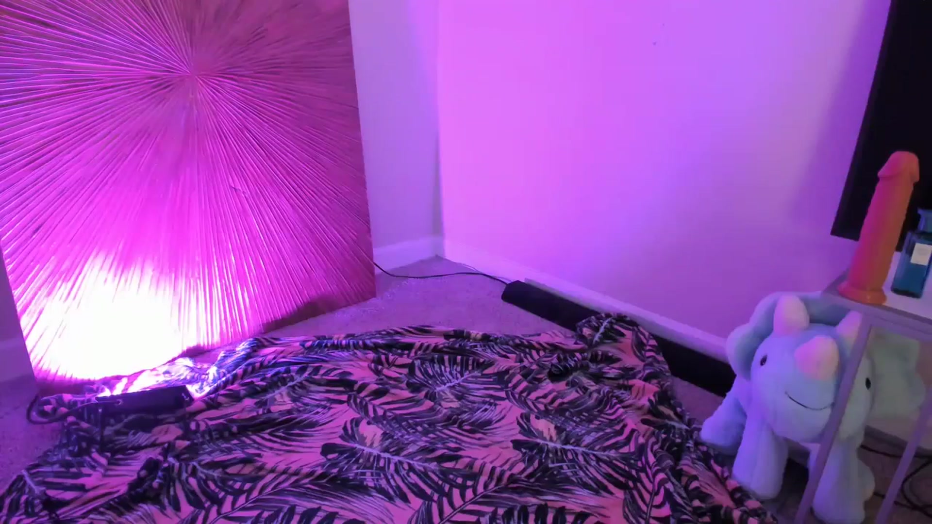 Gallery image thumbnail from KaebrieDae's myfreecams stream on, 10/11/2023, 06:11 image 20 of 20