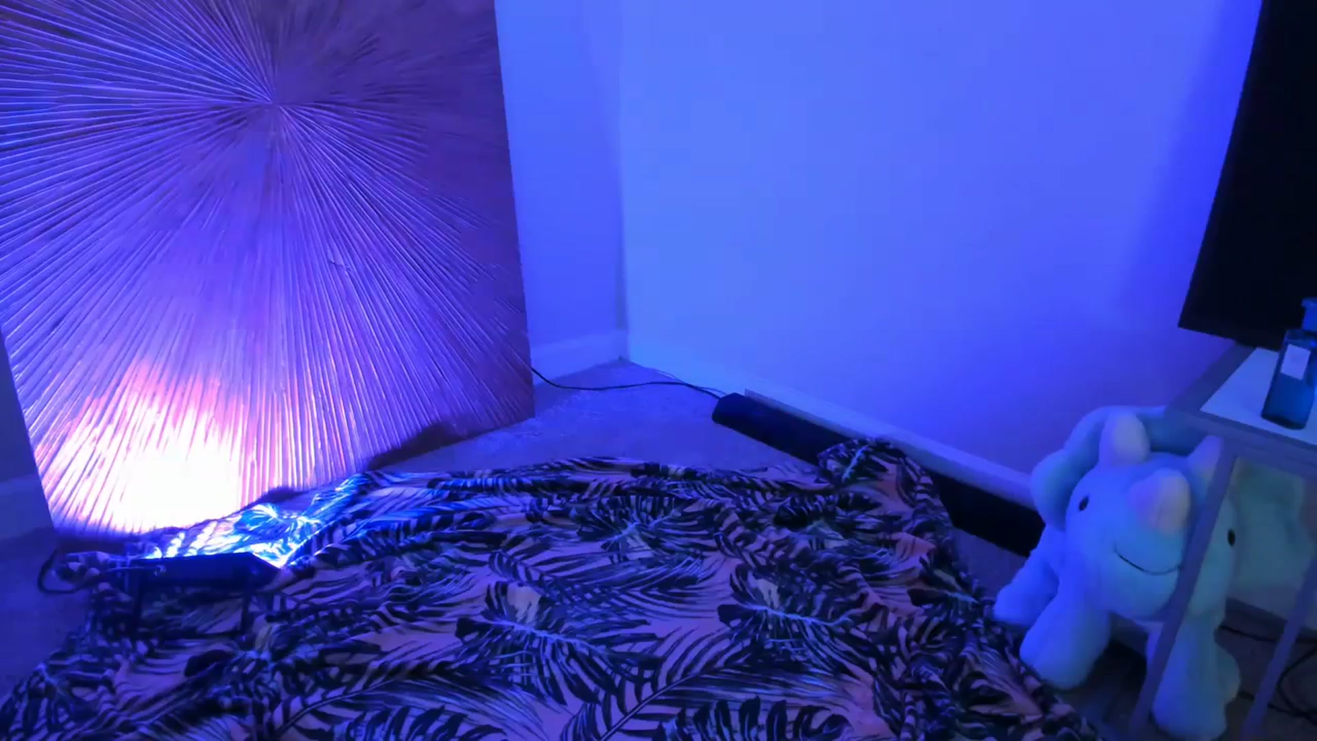 Gallery image thumbnail from KaebrieDae's myfreecams stream on, 10/11/2023, 06:11 image 5 of 20