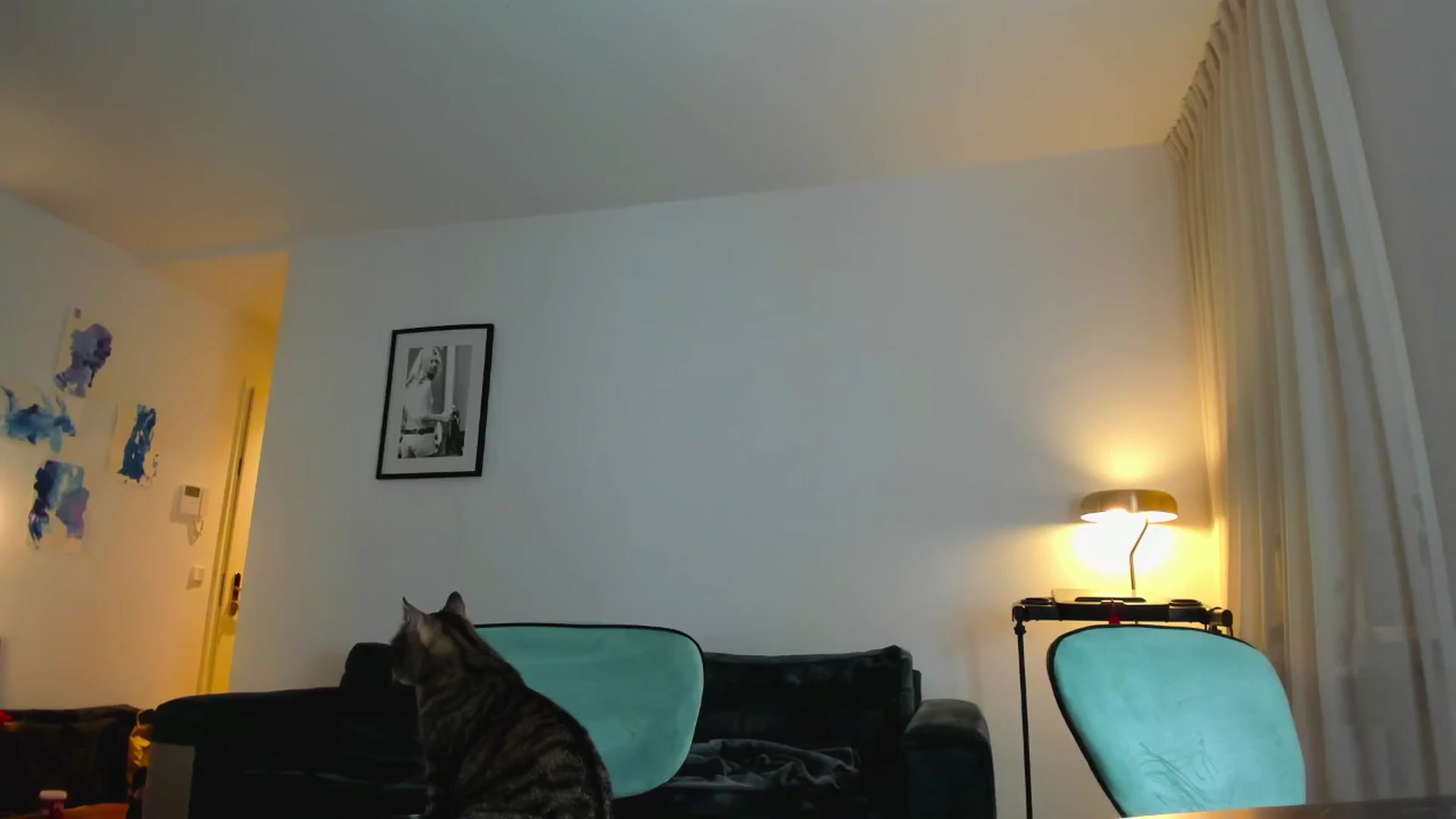 Gallery image thumbnail from KaiOnline's myfreecams stream on, 09/27/2025, 19:31 image 3 of 20