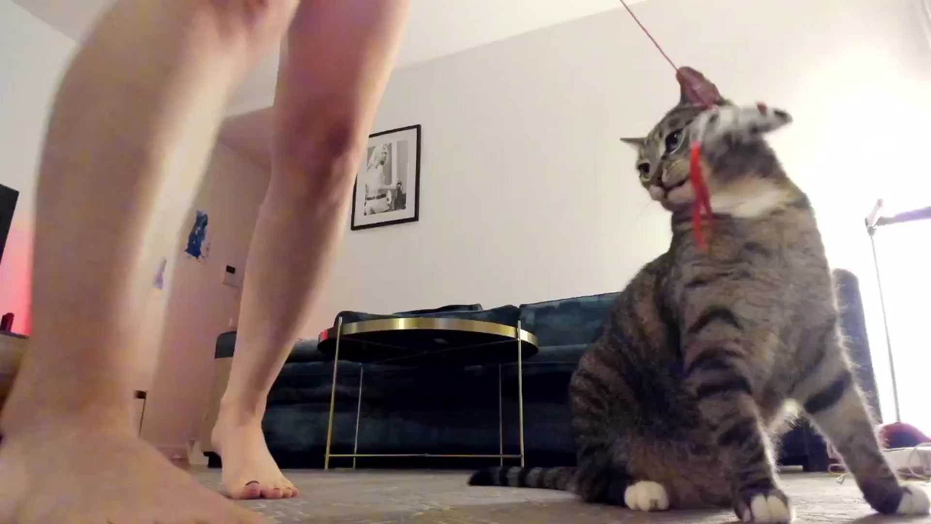 Gallery image thumbnail from KaiOnline's myfreecams stream on, 10/10/2025, 19:56 image 11 of 20