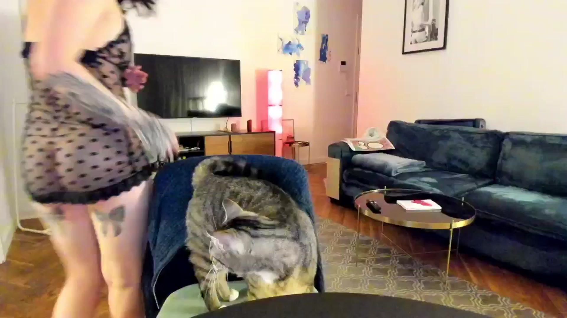Gallery image thumbnail from KaiOnline's myfreecams stream on, 10/10/2025, 19:56 image 5 of 20