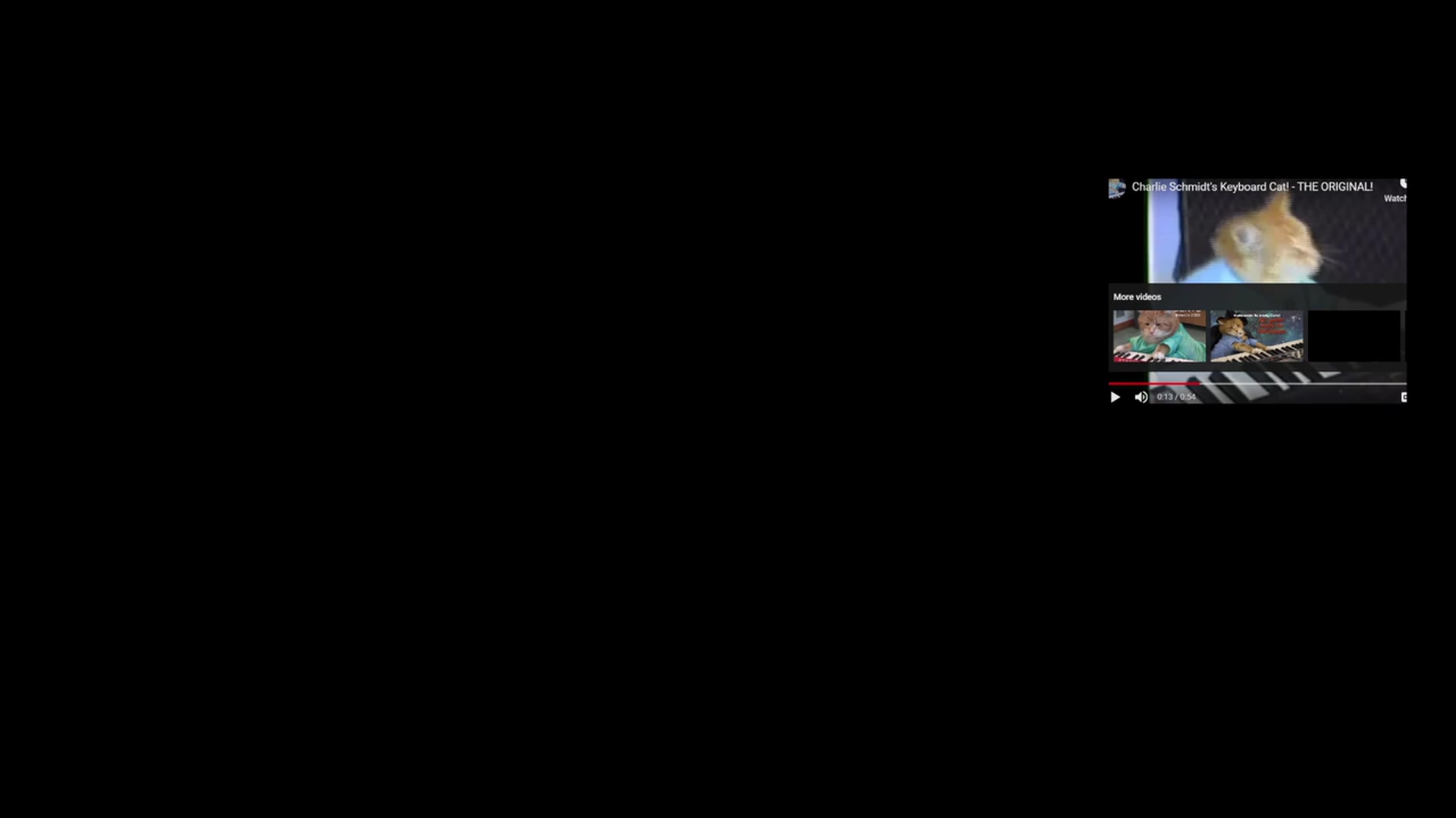 Gallery image thumbnail from Kaikitten2002's myfreecams stream on, 12/24/2022, 21:16 image 15 of 20