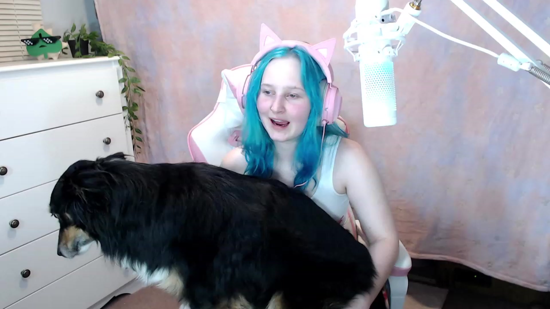 Gallery image thumbnail from Kaikitten2002's myfreecams stream on, 08/27/2023, 05:09 image 1 of 20