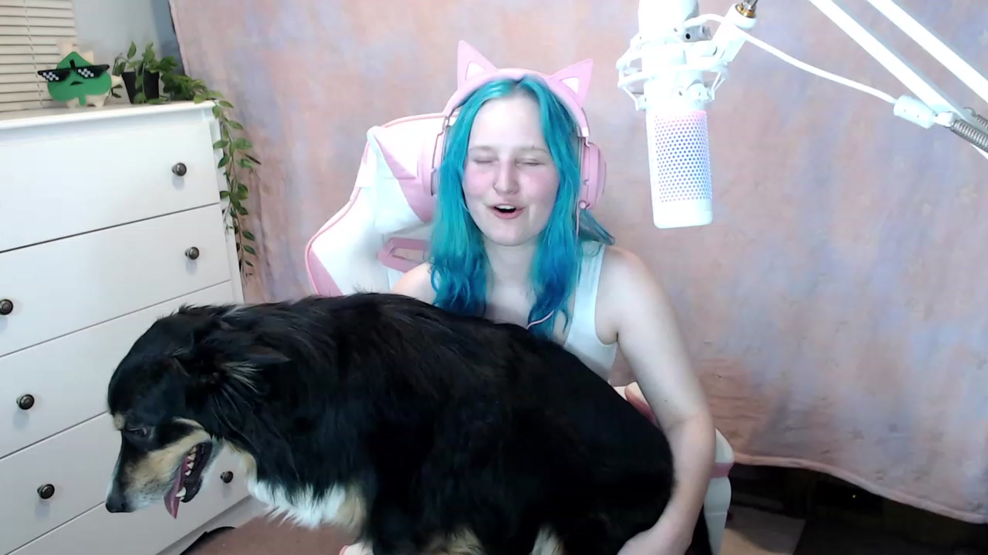 Gallery image thumbnail from Kaikitten2002's myfreecams stream on, 08/27/2023, 05:09 image 2 of 20