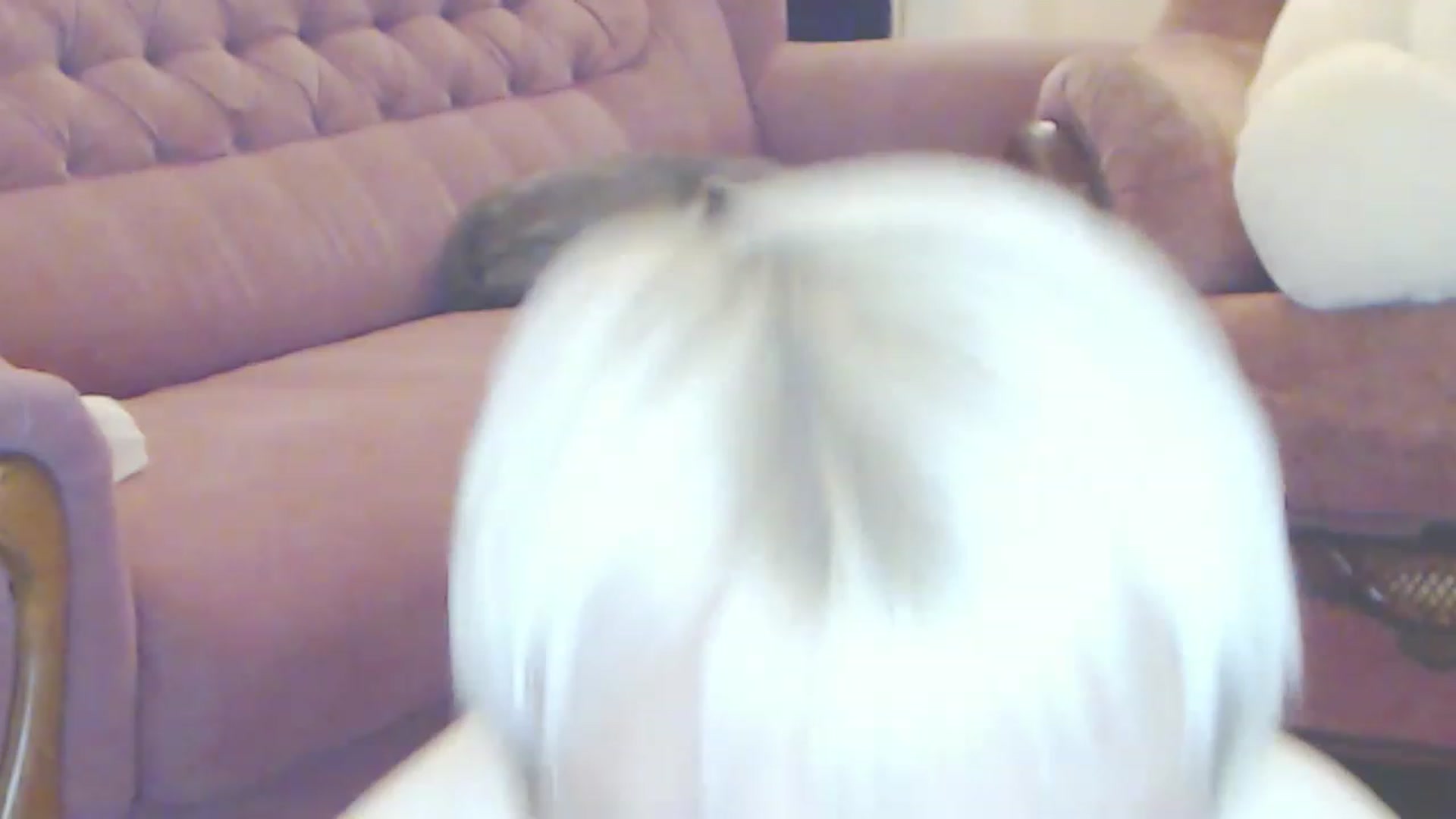 Gallery image thumbnail from Kaiserine's myfreecams stream on, 12/04/2022, 21:30 image 12 of 20