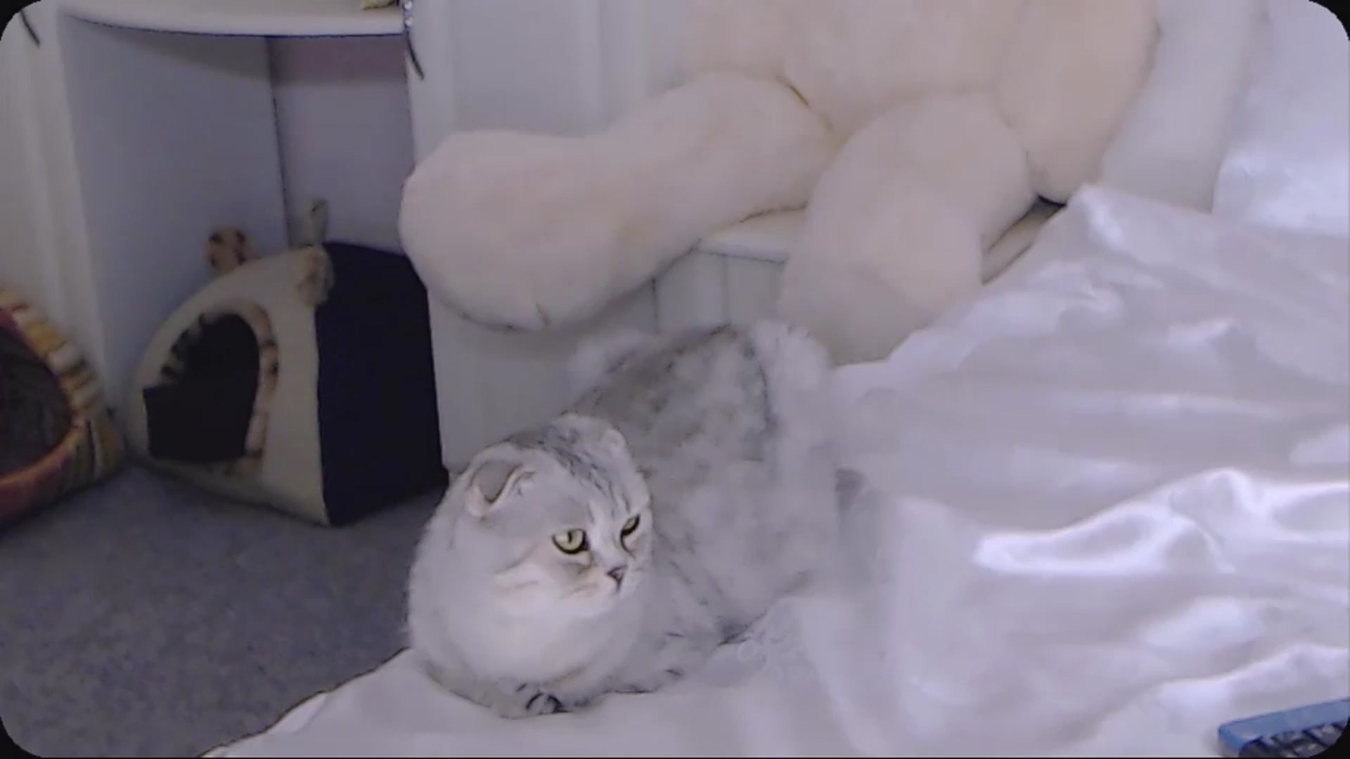 Gallery image thumbnail from Kaiserine's myfreecams stream on, 10/05/2024, 03:22 image 2 of 20