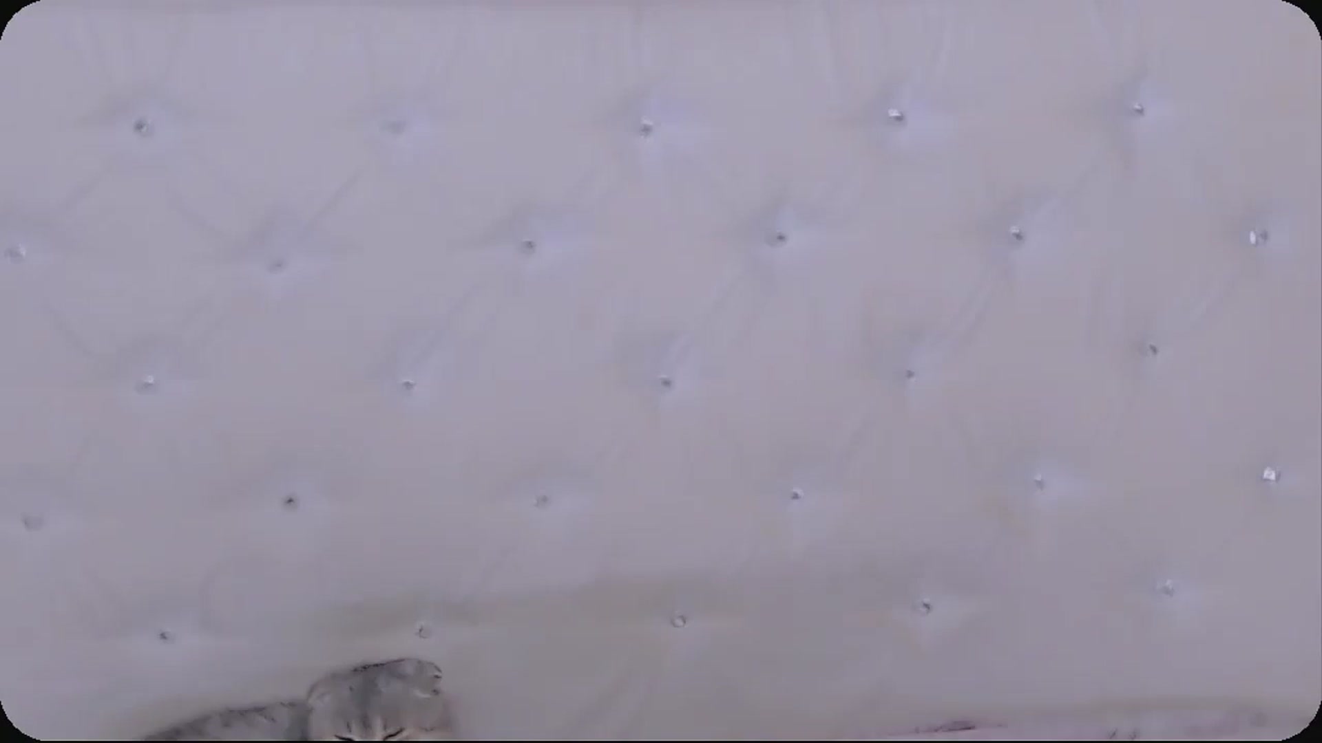 Gallery image thumbnail from Kaiserine's myfreecams stream on, 12/20/2025, 24:10 image 8 of 20