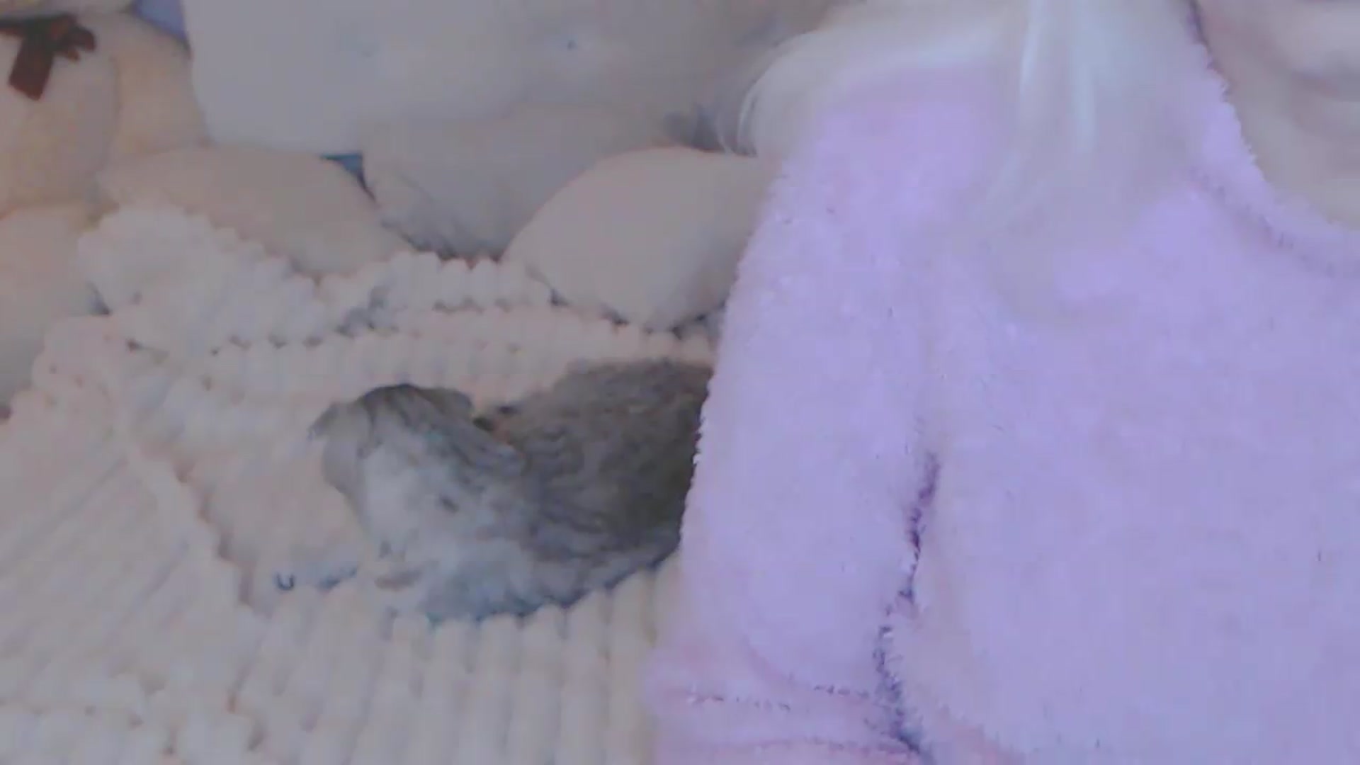 Gallery image thumbnail from Kaiserine's myfreecams stream on, 05/31/2026, 23:19 image 5 of 20