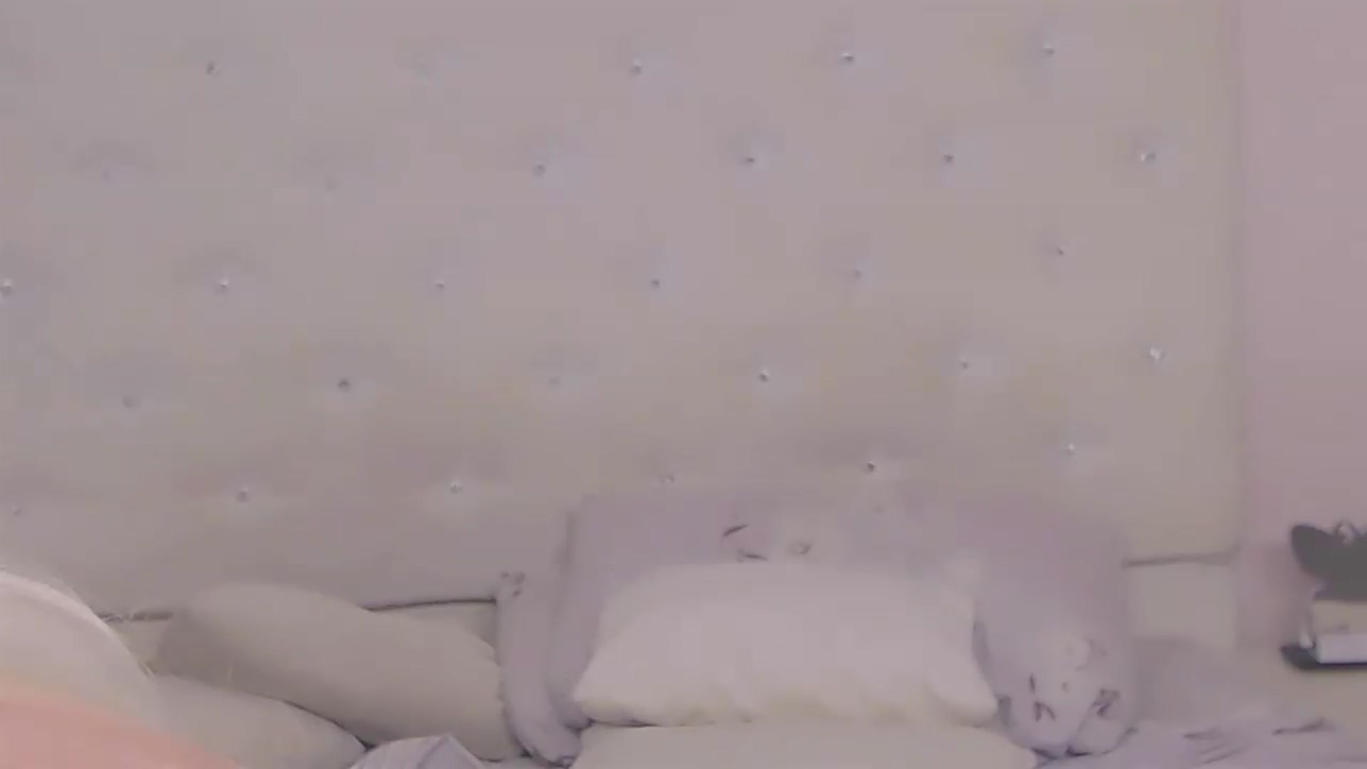 Gallery image thumbnail from Kaiserine's myfreecams stream on, 07/19/2026, 20:06 image 17 of 20