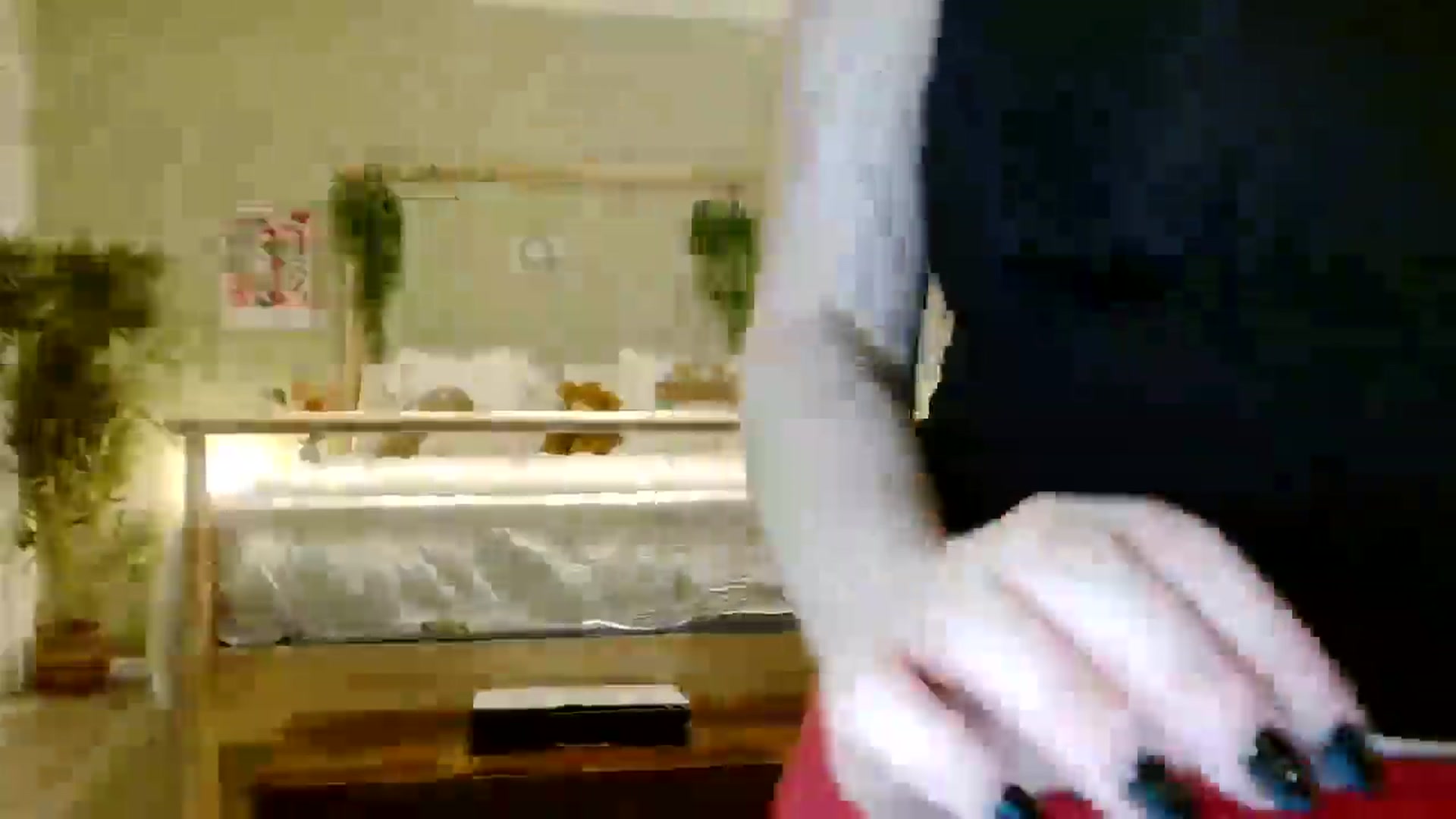 Gallery image thumbnail from Kaitrose's myfreecams stream on, 08/23/2025, 22:19 image 5 of 20