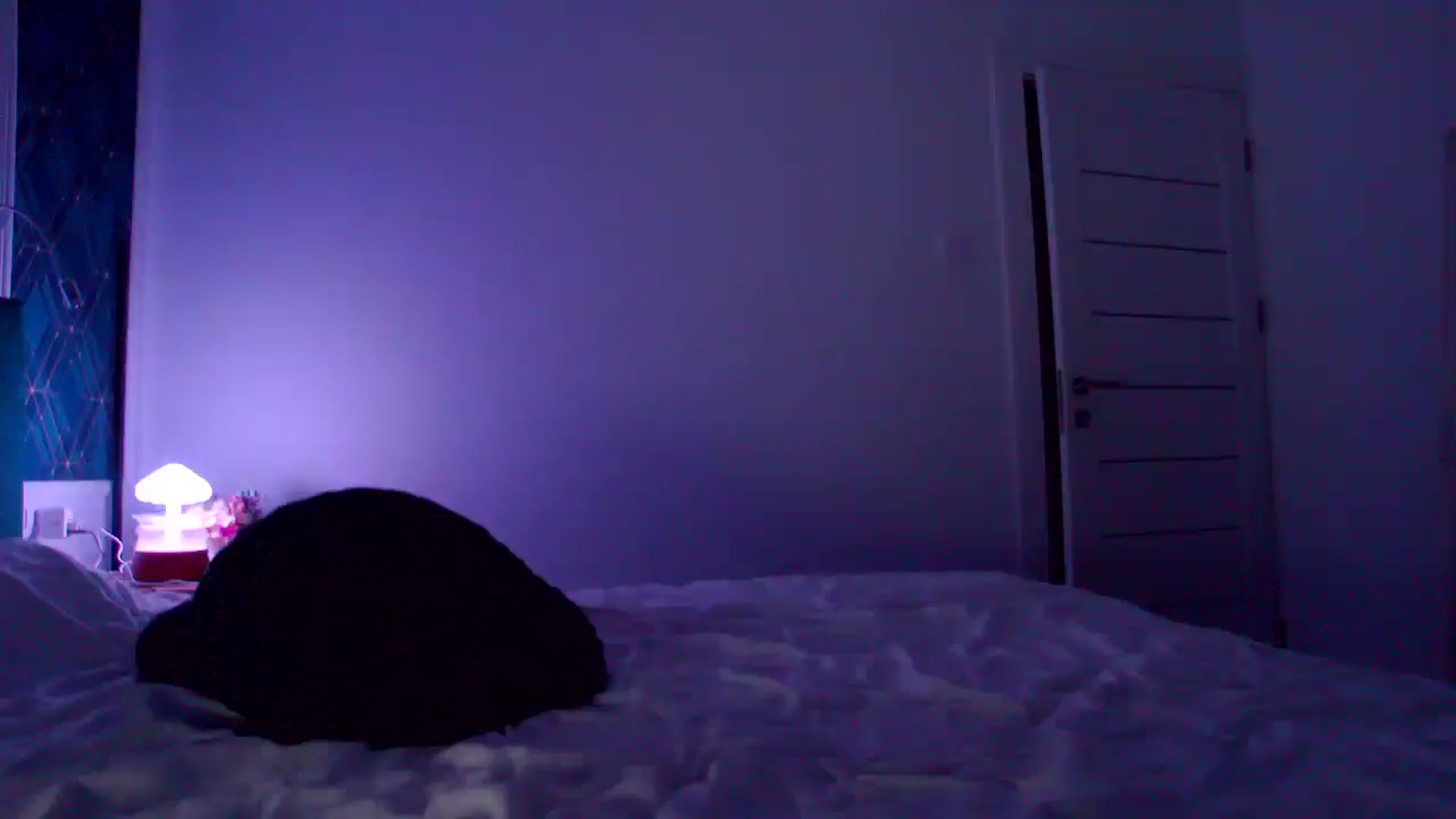 Gallery image thumbnail from KalIySya___'s myfreecams stream on, 04/17/2024, 18:02 image 6 of 20