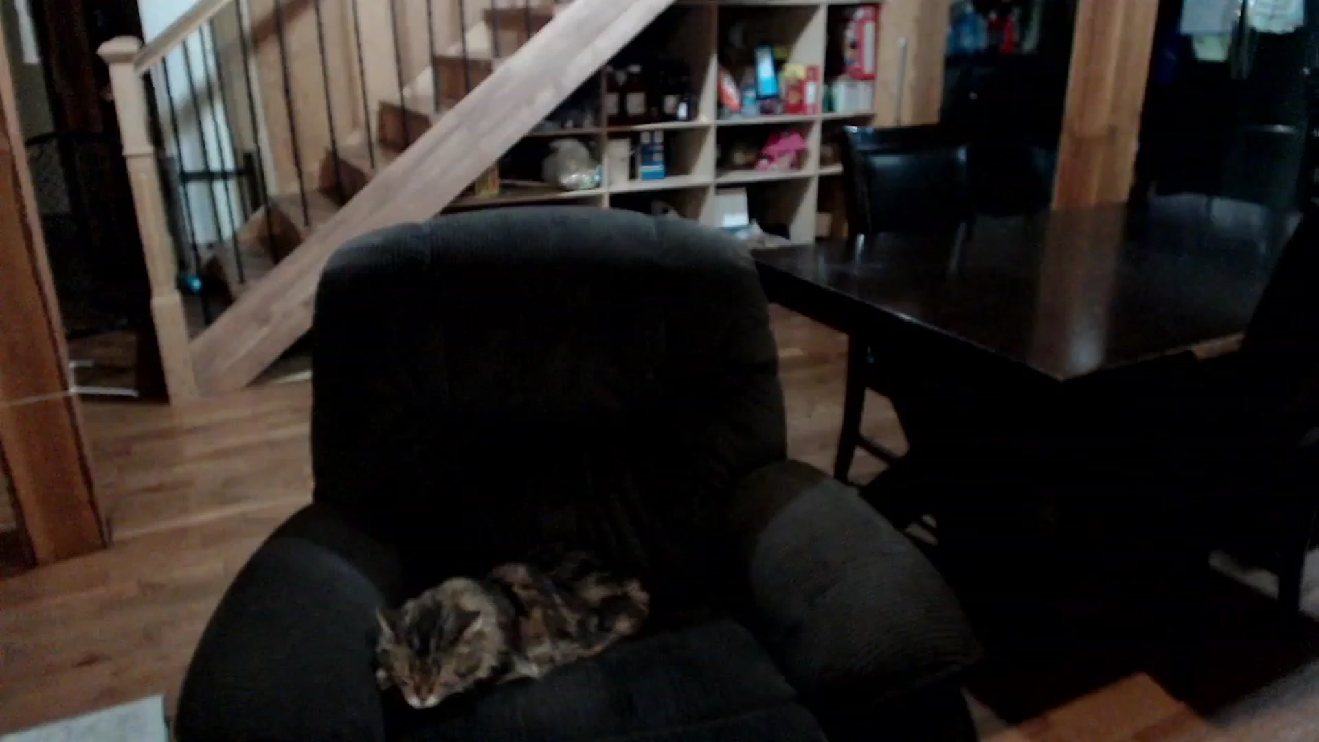 Gallery image thumbnail from KaliGunz's myfreecams stream on, 12/04/2022, 05:50 image 18 of 20