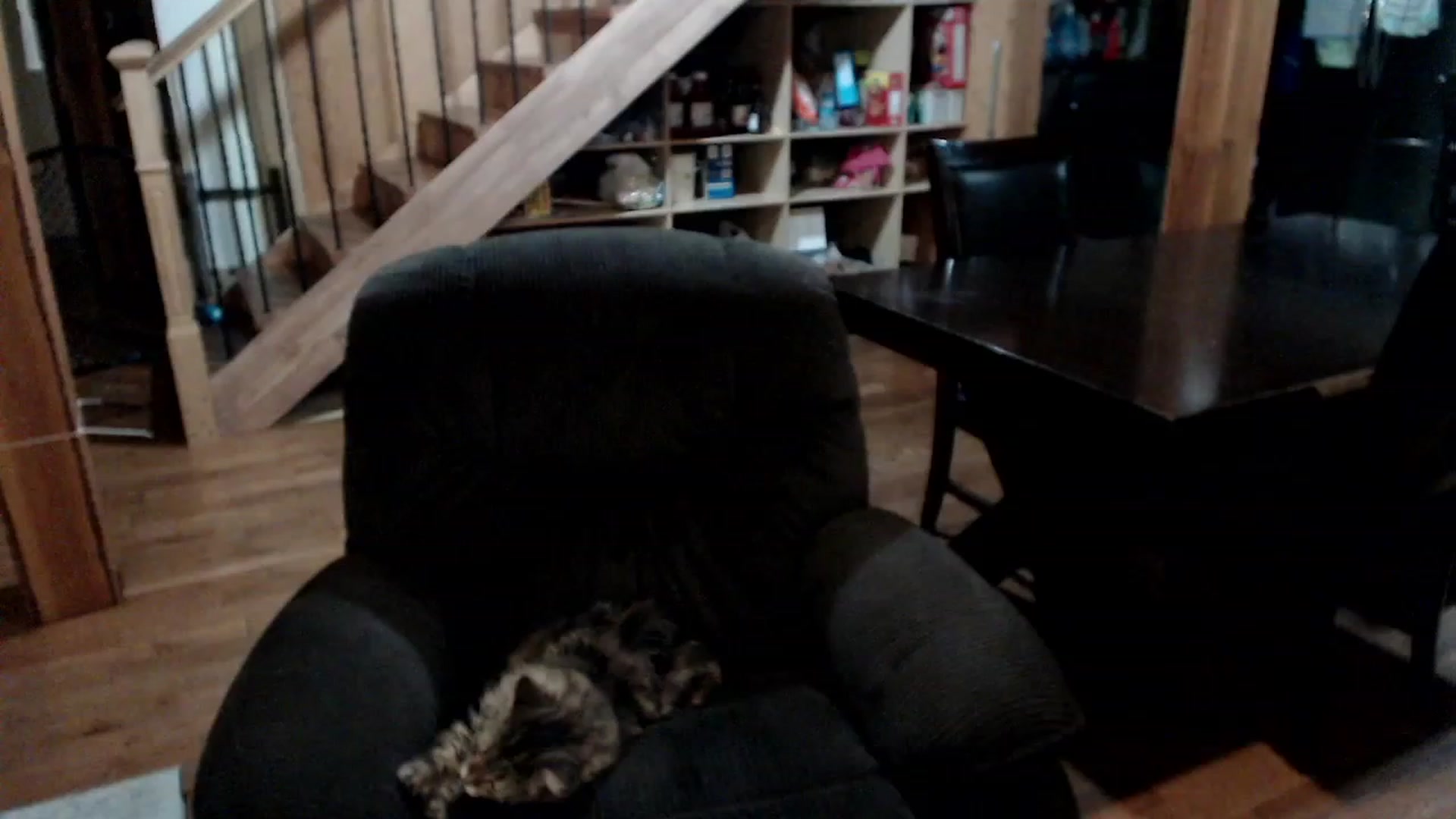 Gallery image thumbnail from KaliGunz's myfreecams stream on, 12/04/2022, 05:50 image 19 of 20