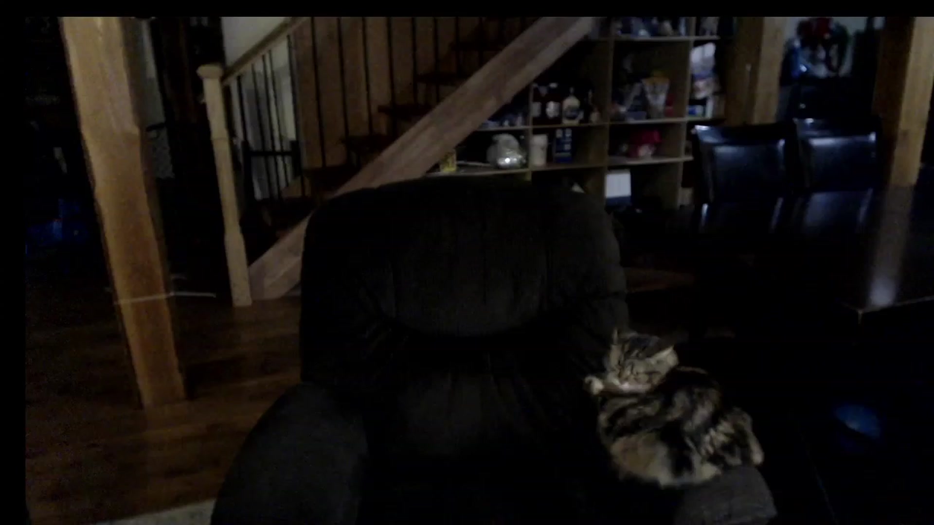 Gallery image thumbnail from KaliGunz's myfreecams stream on, 12/08/2022, 06:13 image 9 of 20